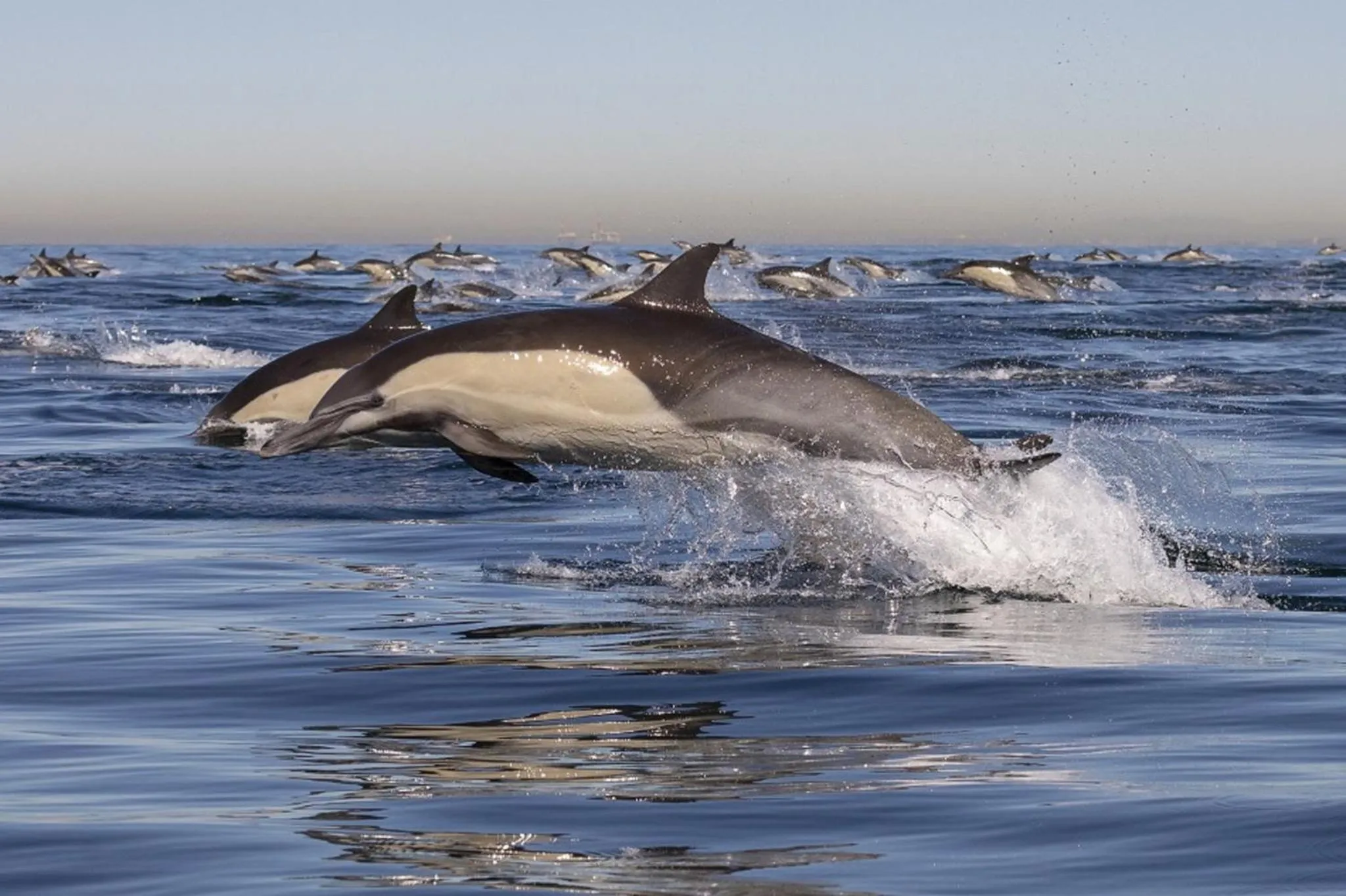 Nearby landmark in InterContinental The Clement Monterey by IHG