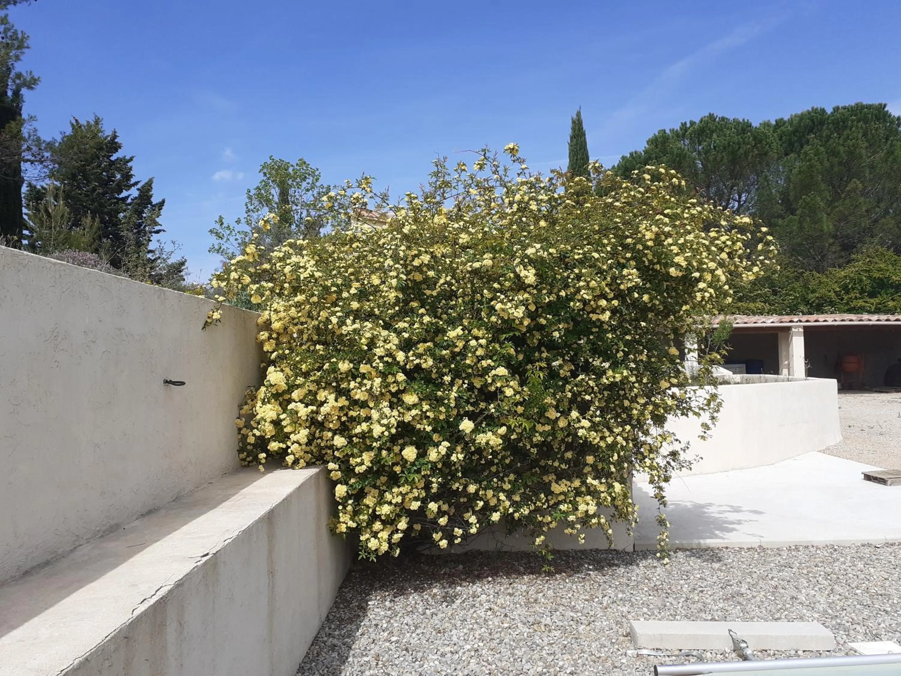 Garden in Chambres d'hôtes, B&B climatisées LA BORRELLIENNE