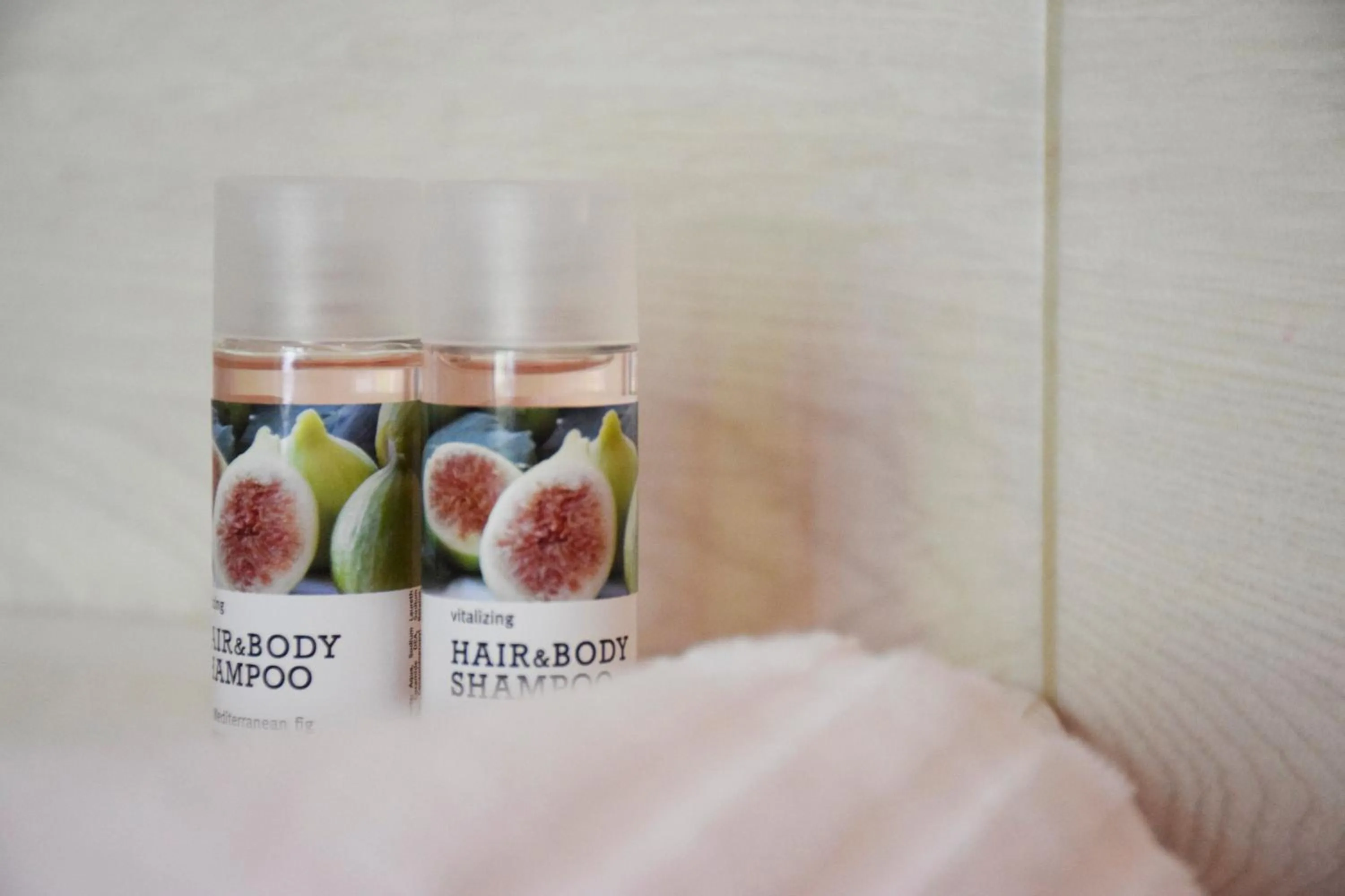 Double or Twin Room with Private Bathroom in La Tana del Tasso Rooms&Breakfast