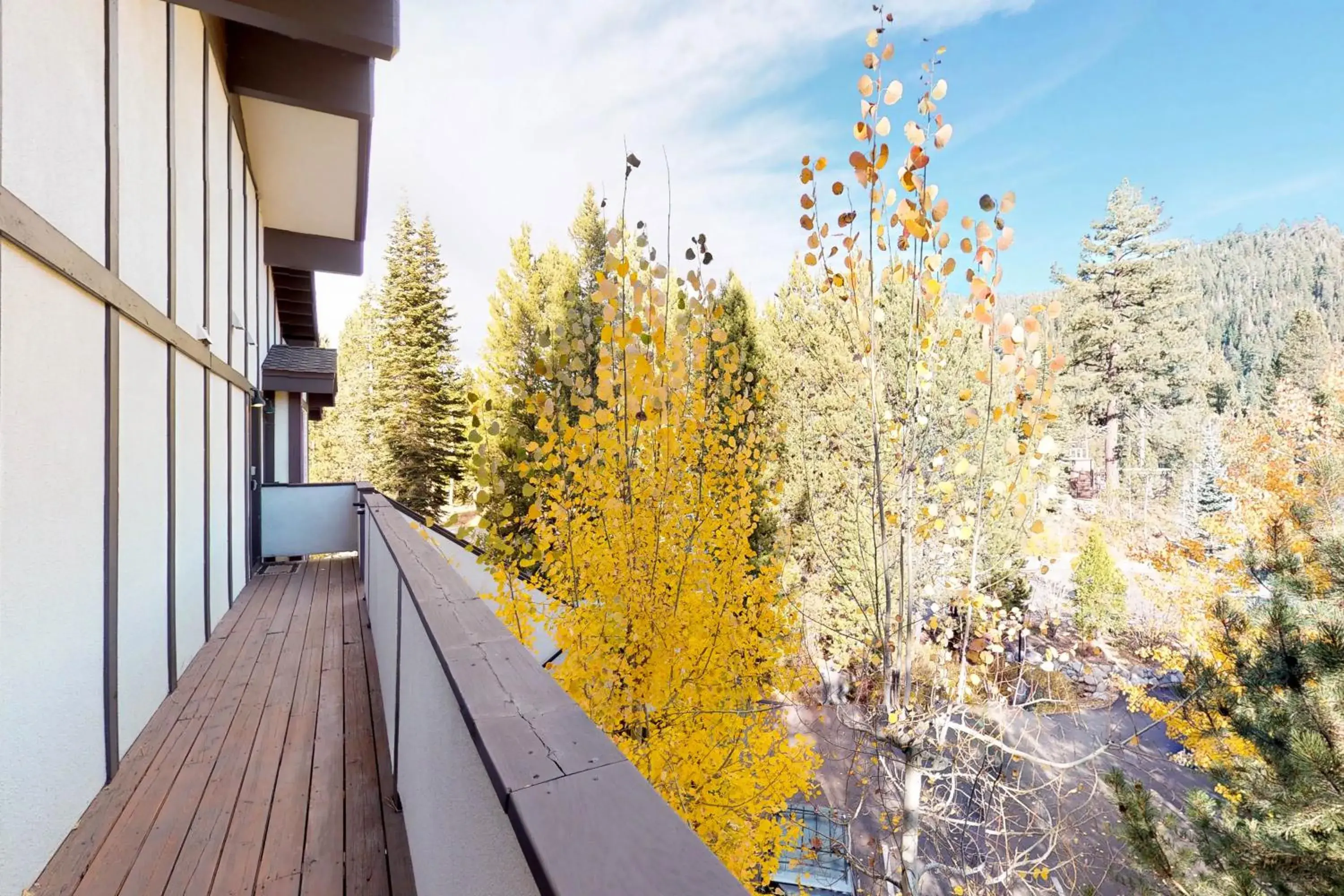 Squaw Valley Ski Flat Squaw Valley Ski Flat