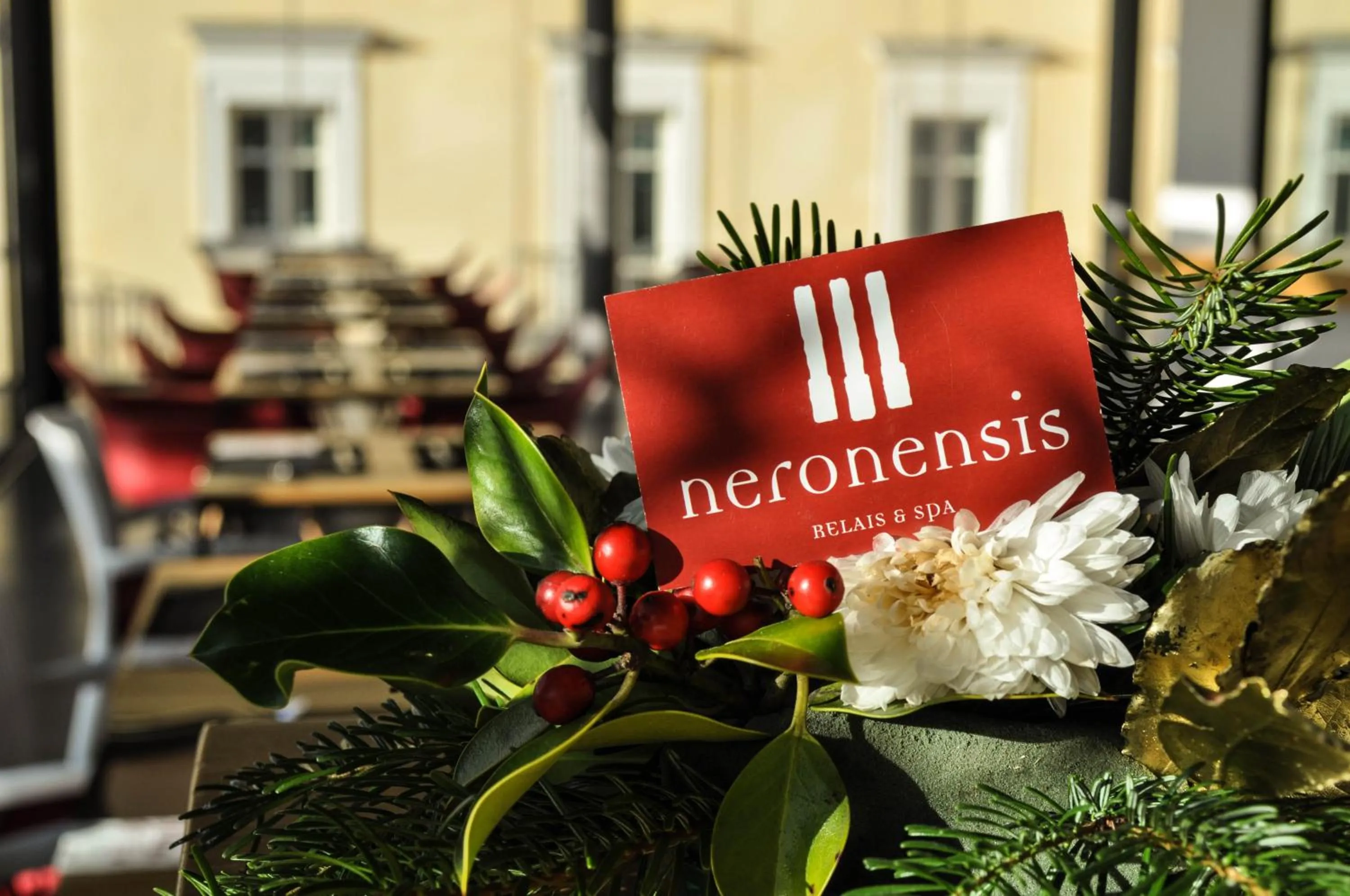Logo/Certificate/Sign in Hotel Terme Neronensis