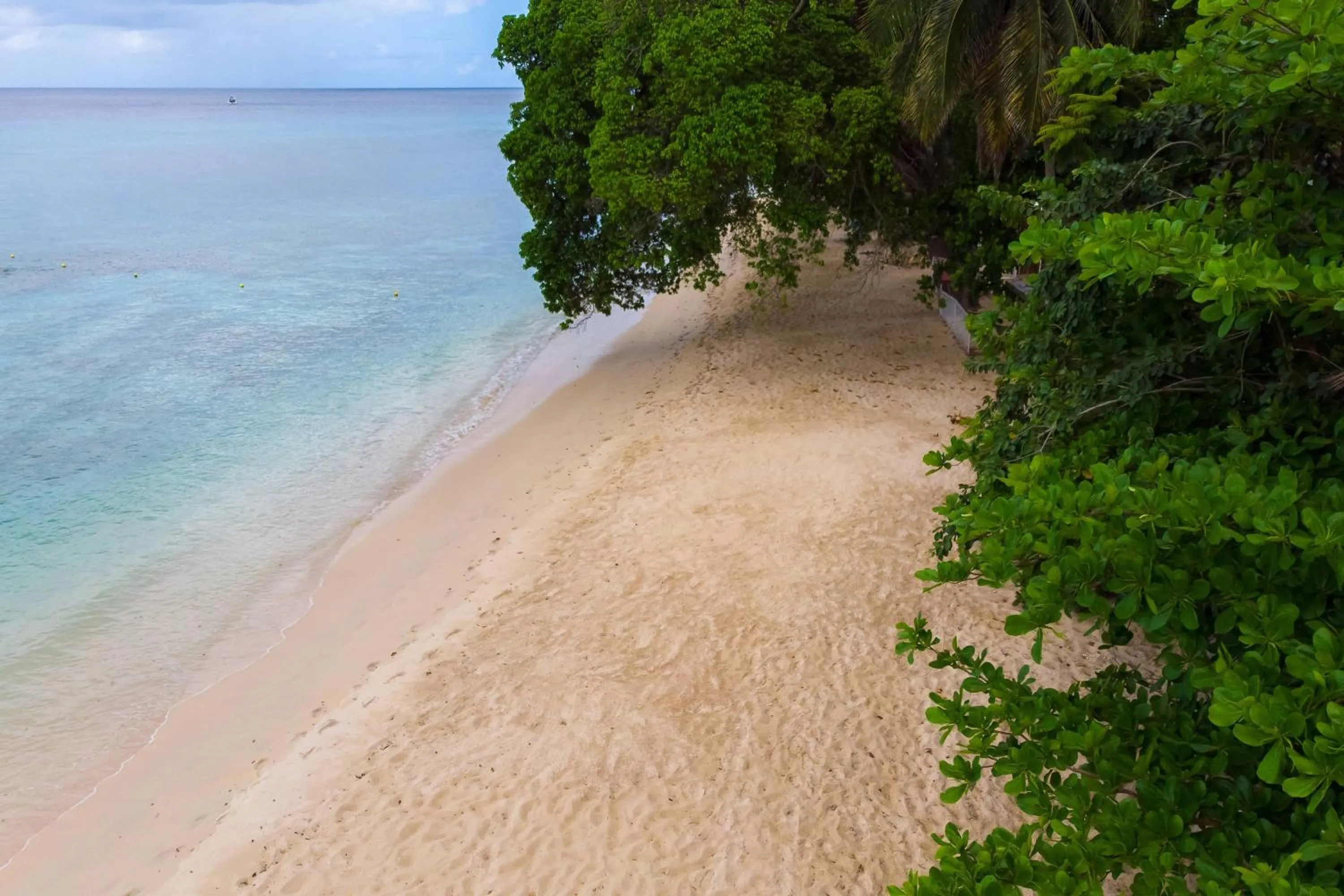 Beach in Waves Resort & Spa, Barbados, An Autograph Collection All-Inclusive Resort