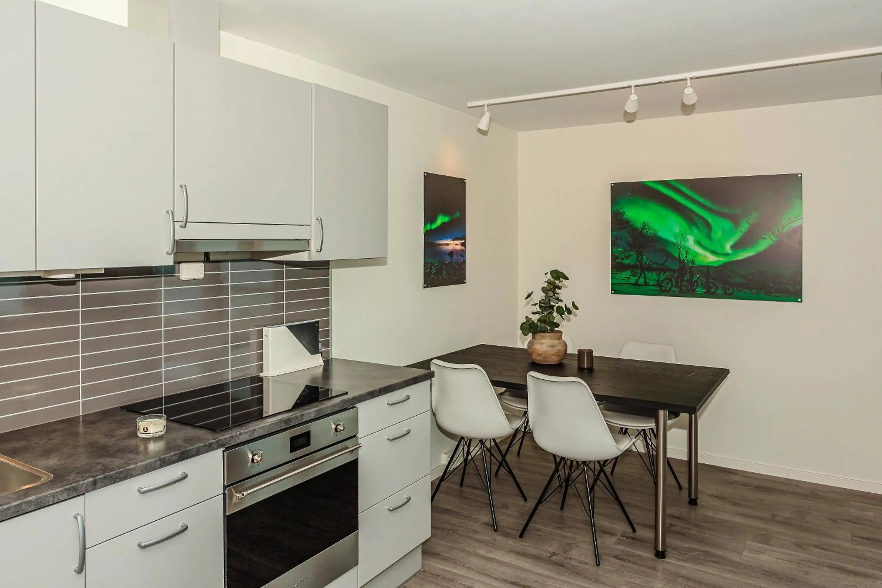 kitchen in Lyngen Experience Apartments