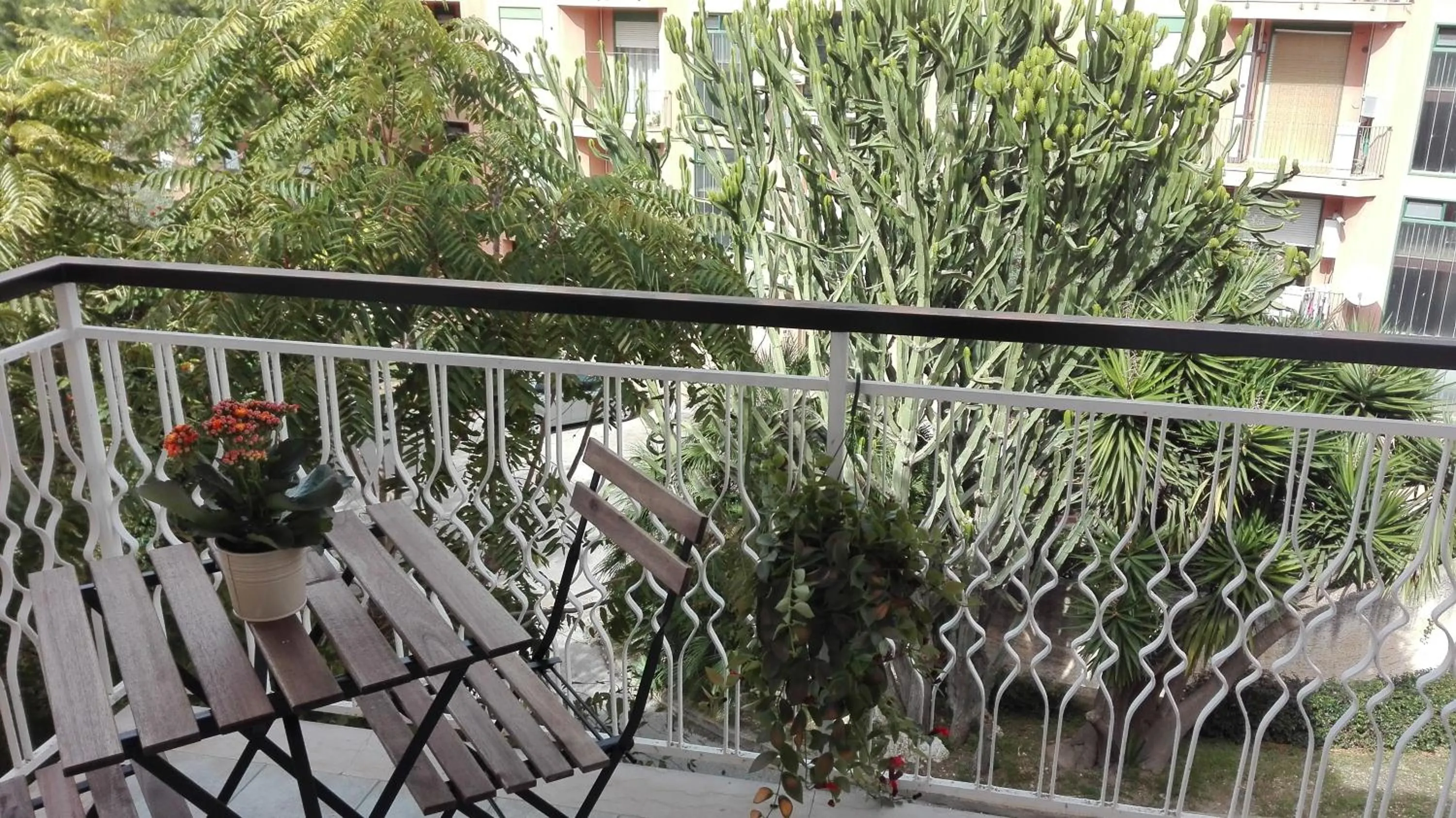 Garden view in Zenzero e Limone