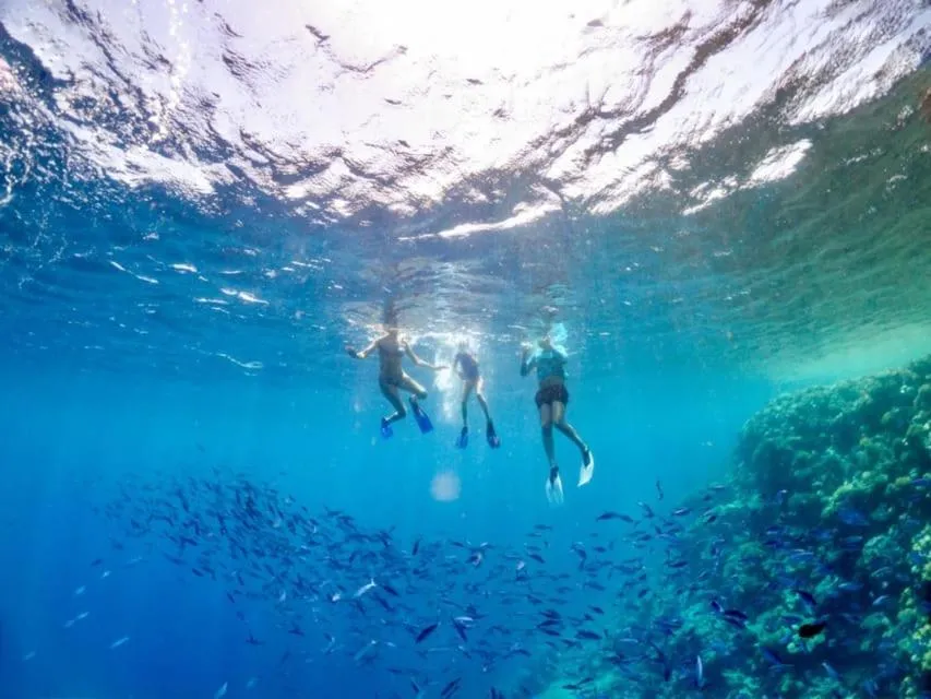 Snorkeling in Zenzero e Limone