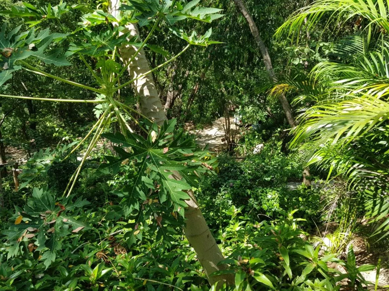 Natural landscape in El Eden Bungalows