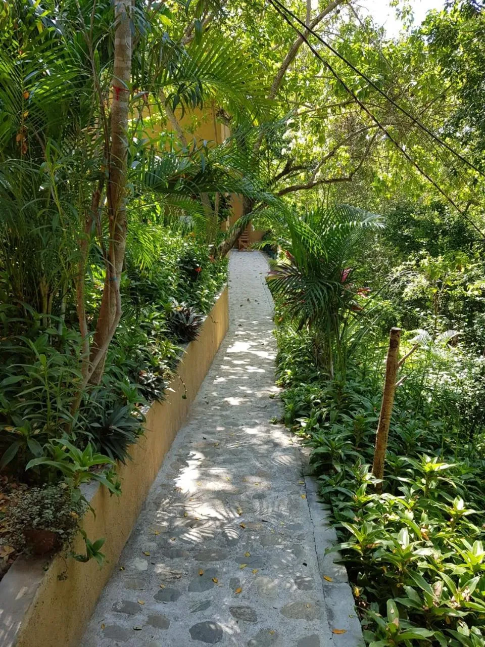 View (from property/room) in El Eden Bungalows