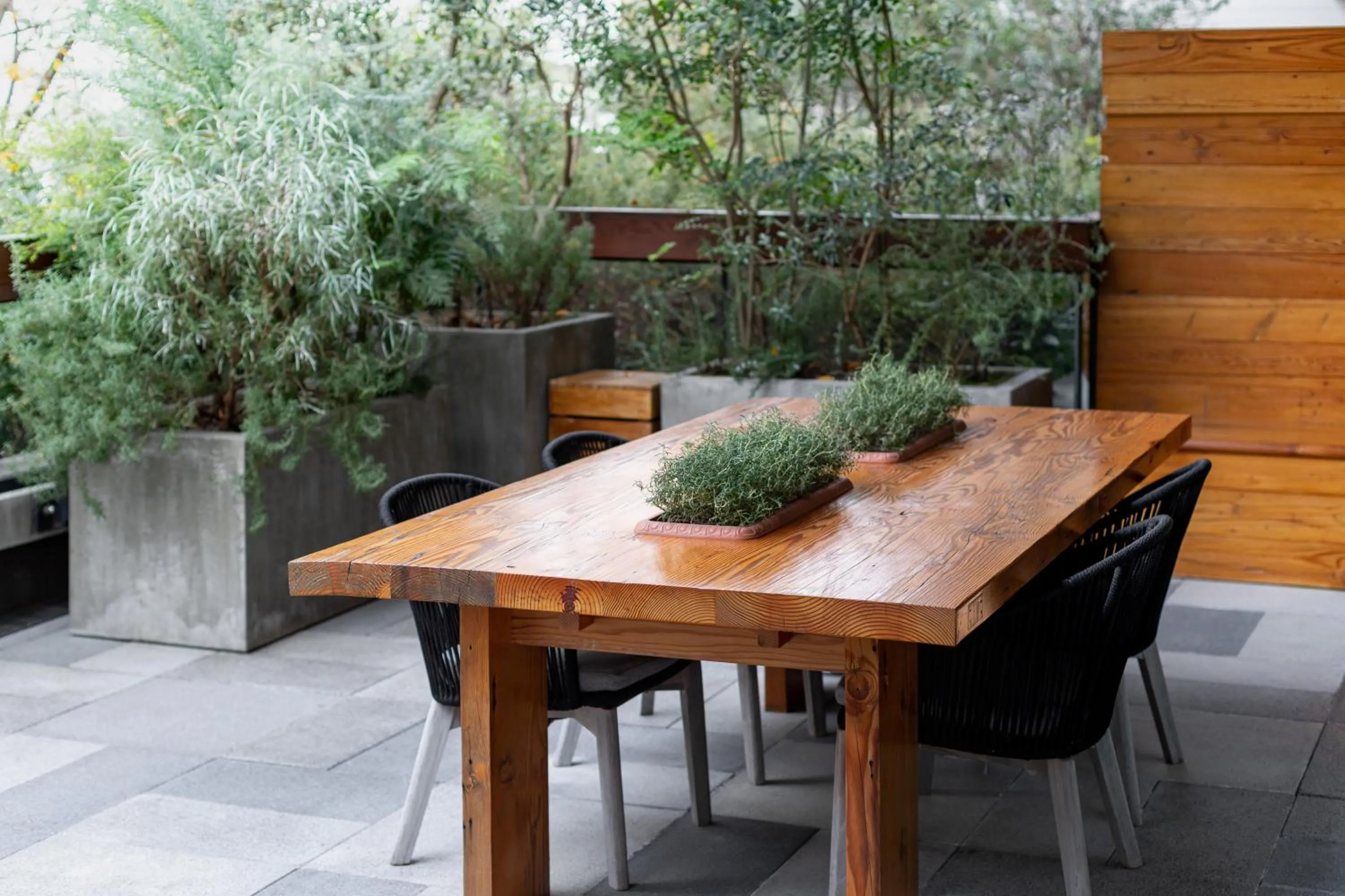 Balcony/Terrace in TRUNK (HOTEL)