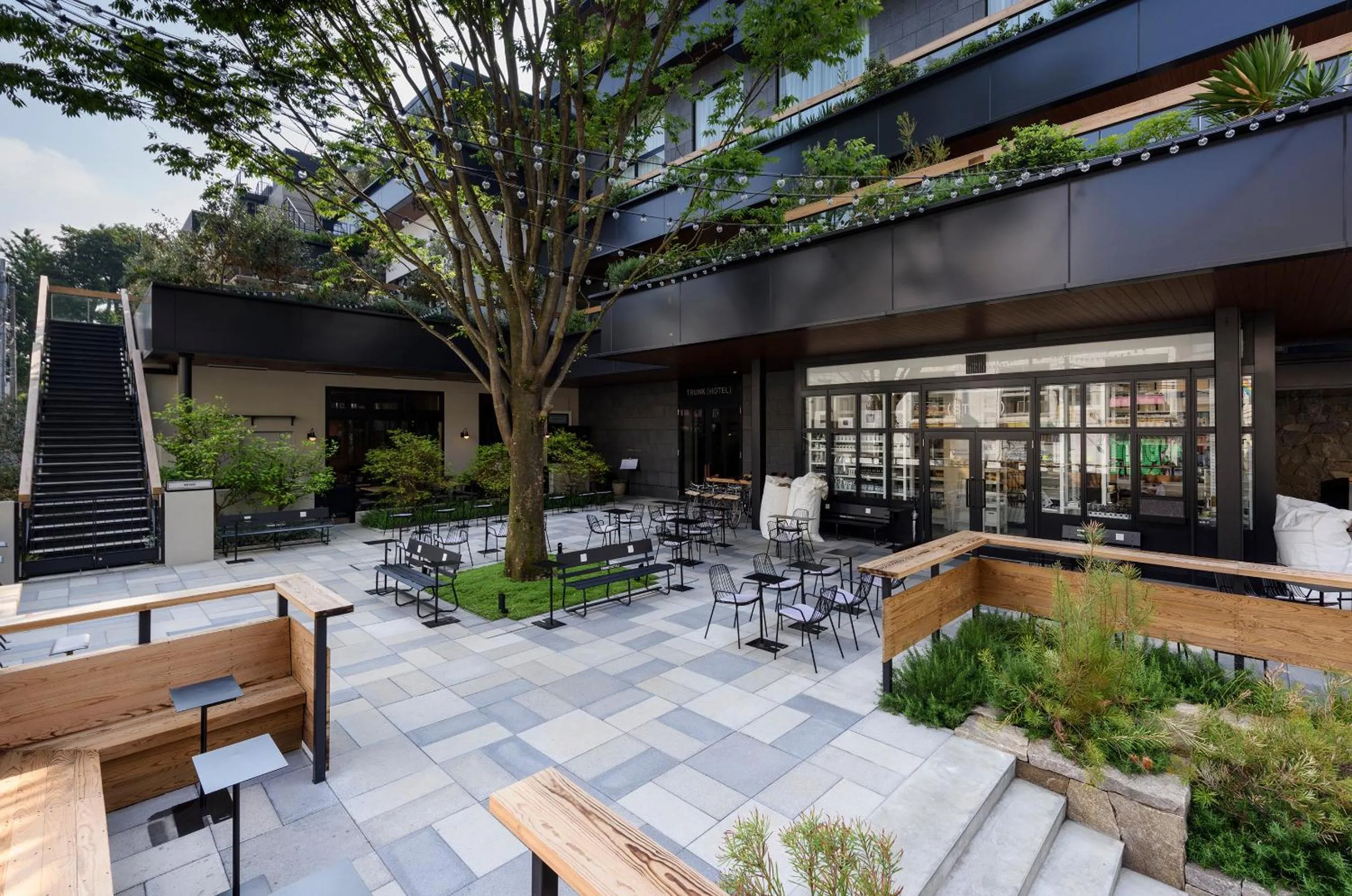 Balcony/Terrace in TRUNK (HOTEL)