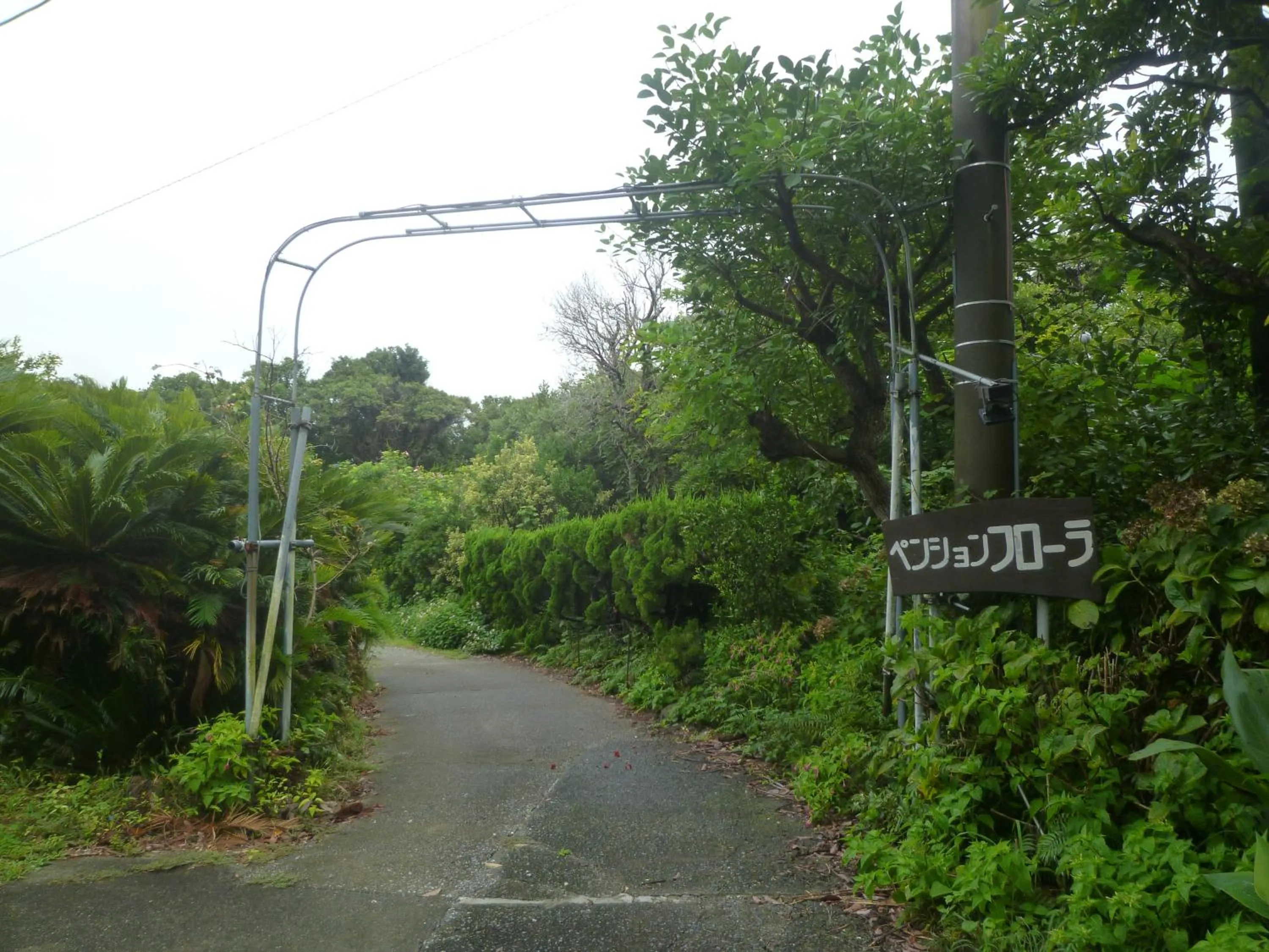 Property logo or sign in Pension Flora