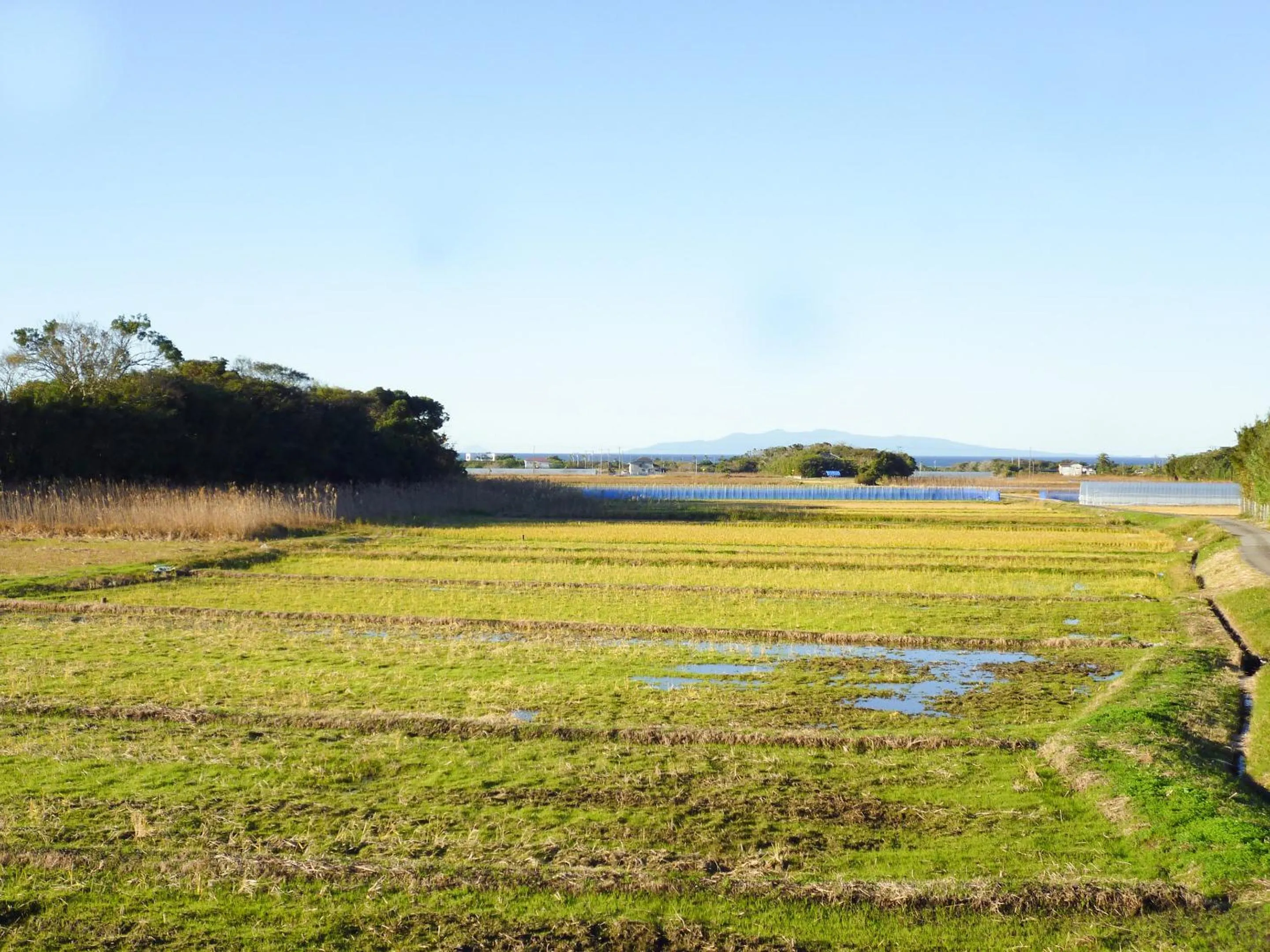 Off site in Pension Flora