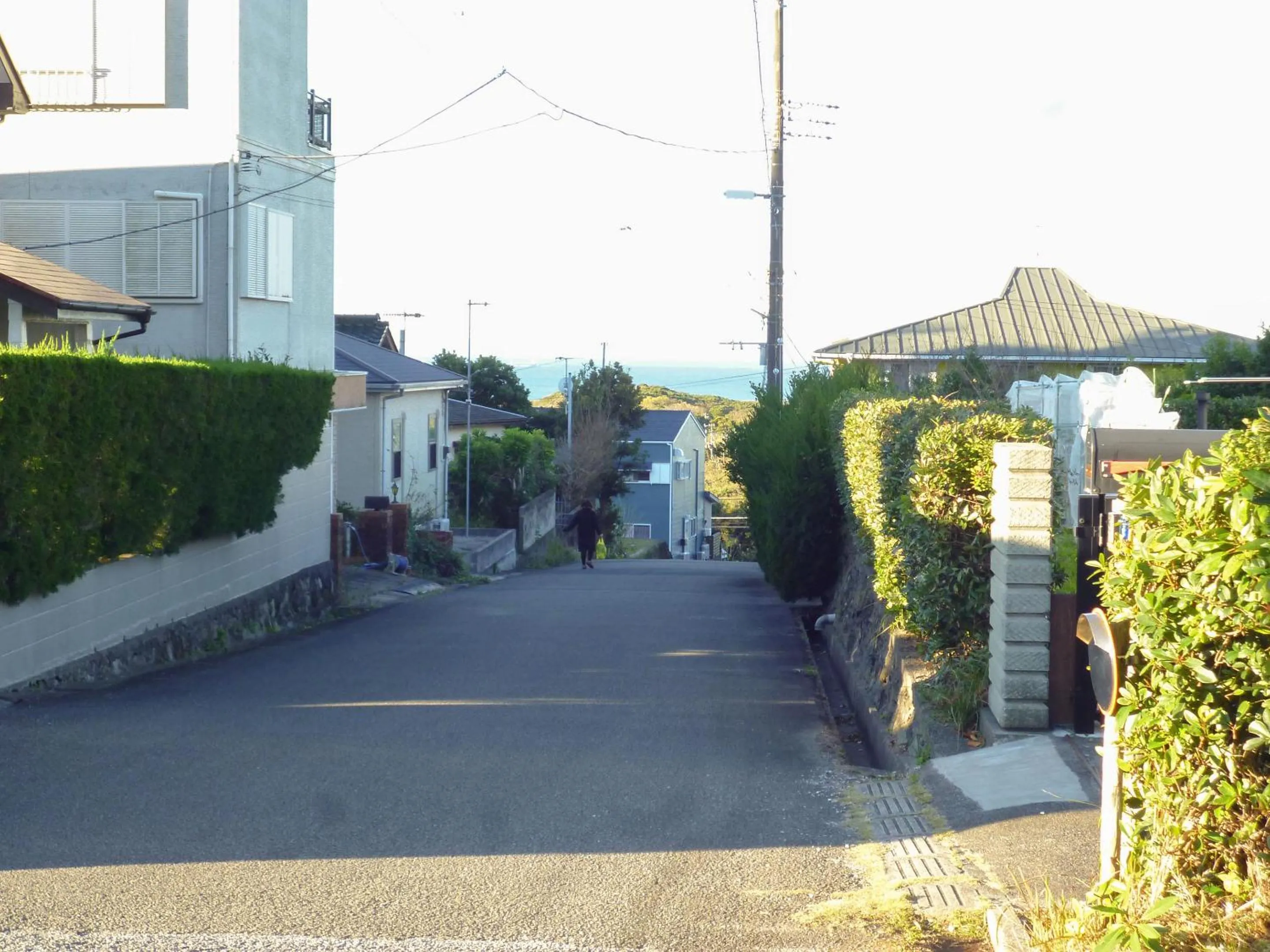 Neighbourhood in Pension Flora