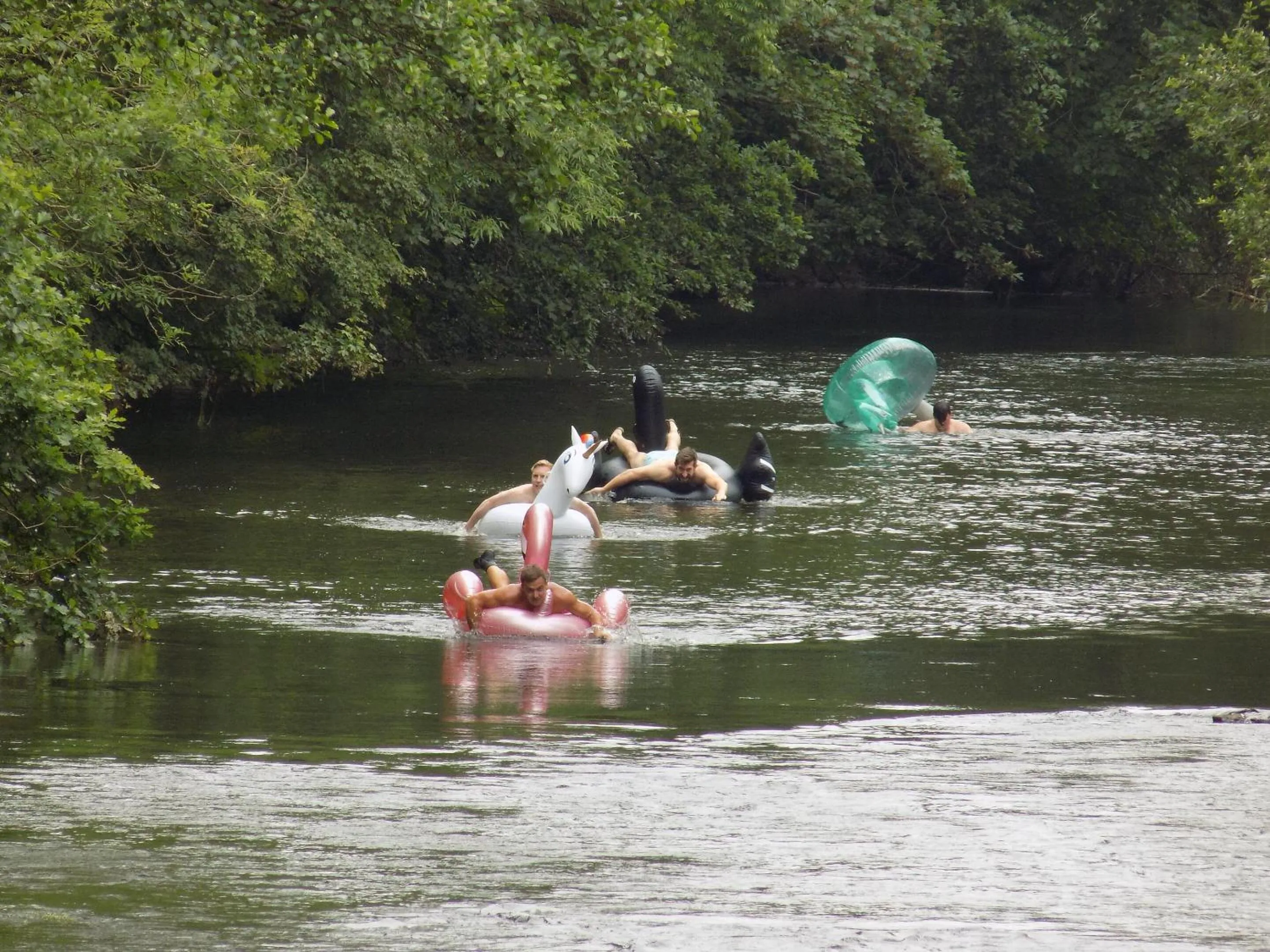 Activities in Bickleigh Castle