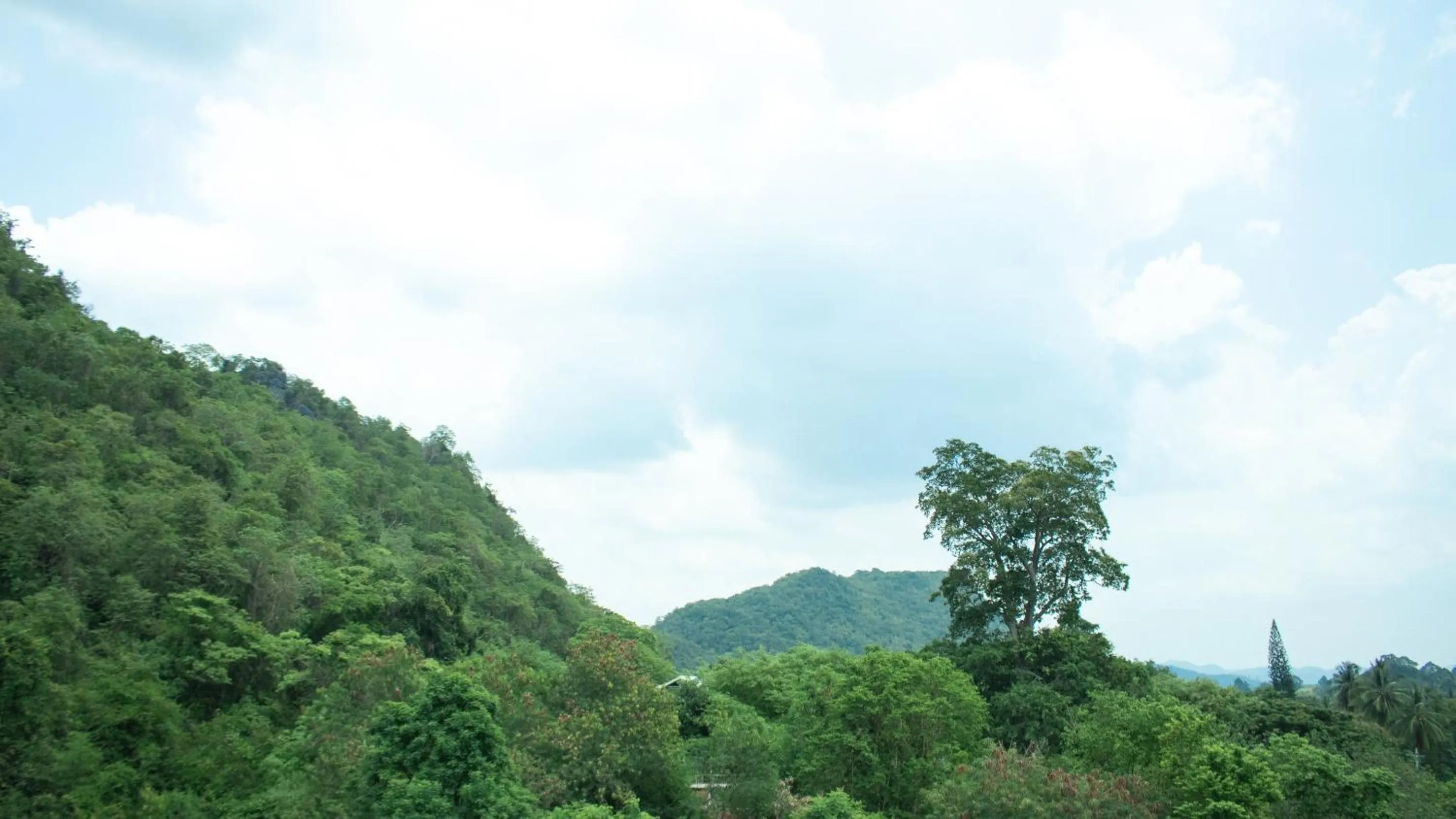 Garden in Fortune D Plus Hotel Khaoyai