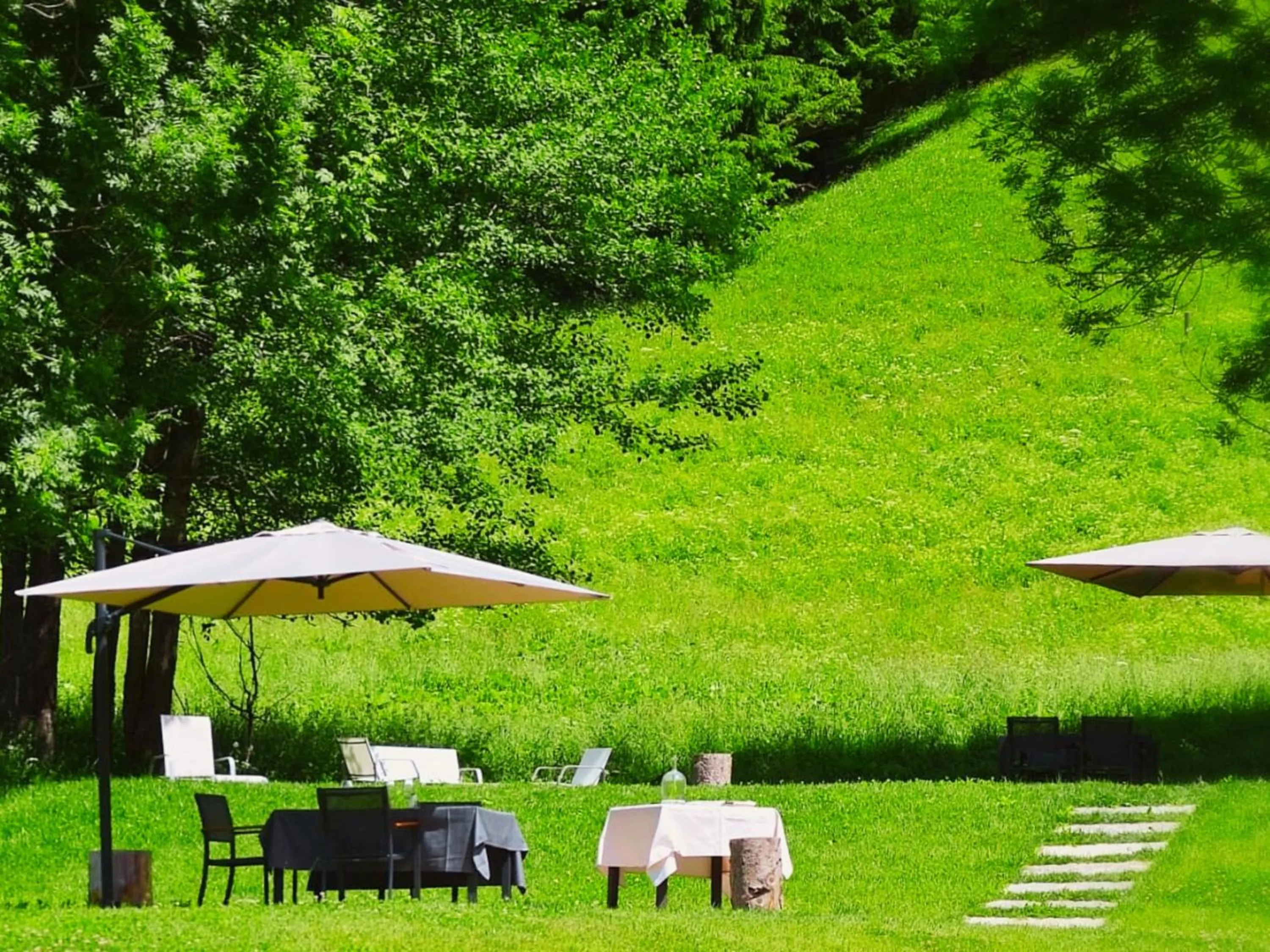 Garden in Hotel Orso Grigio