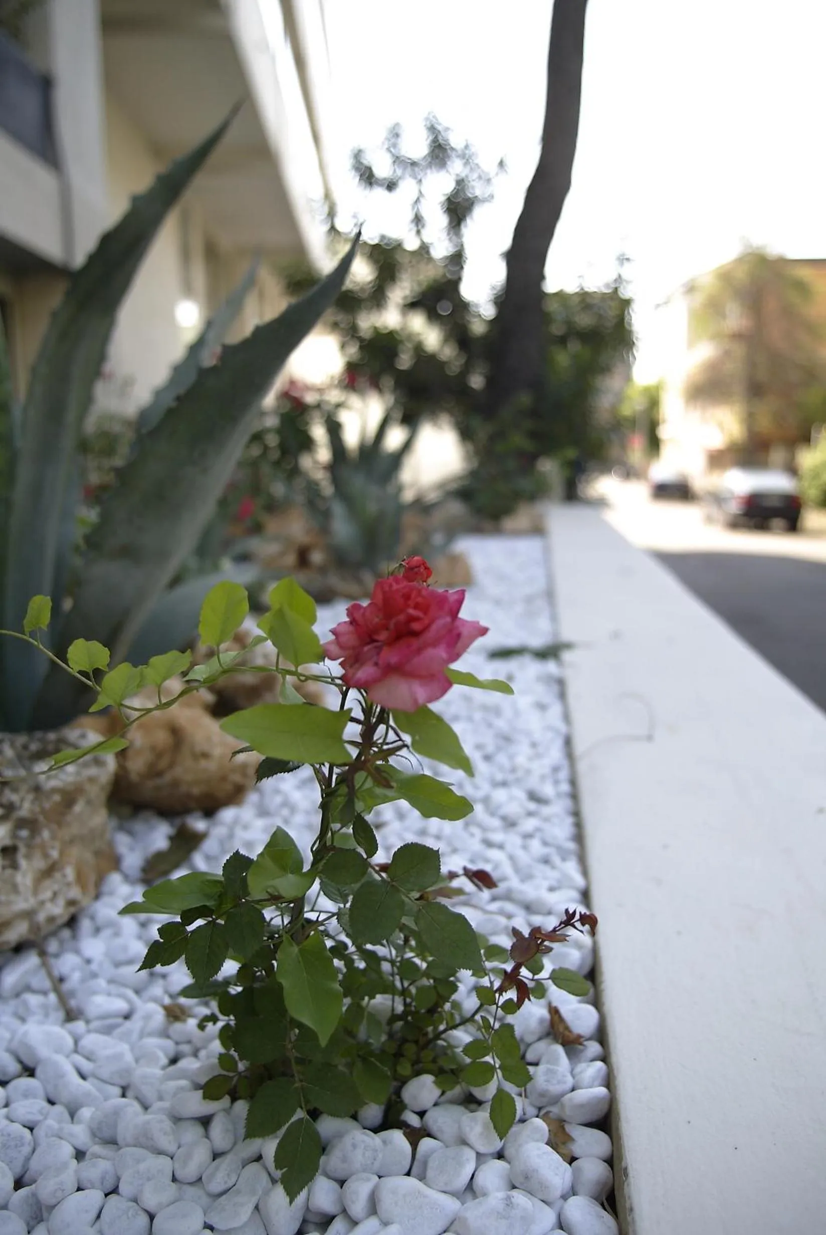 Decorative detail in Hotel Luxor