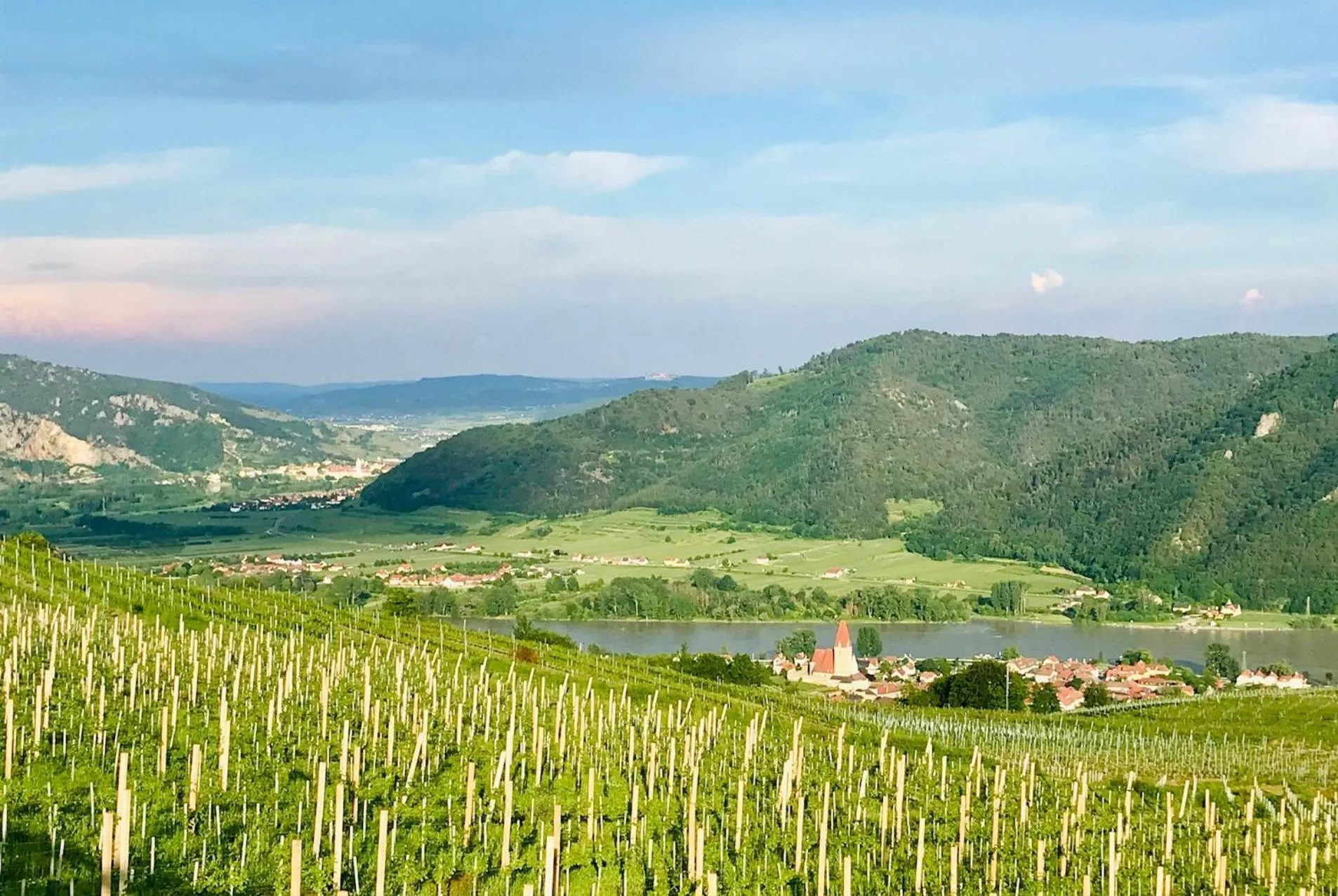 Natural landscape in Kirchenwirt Hotel Restaurant Wachau