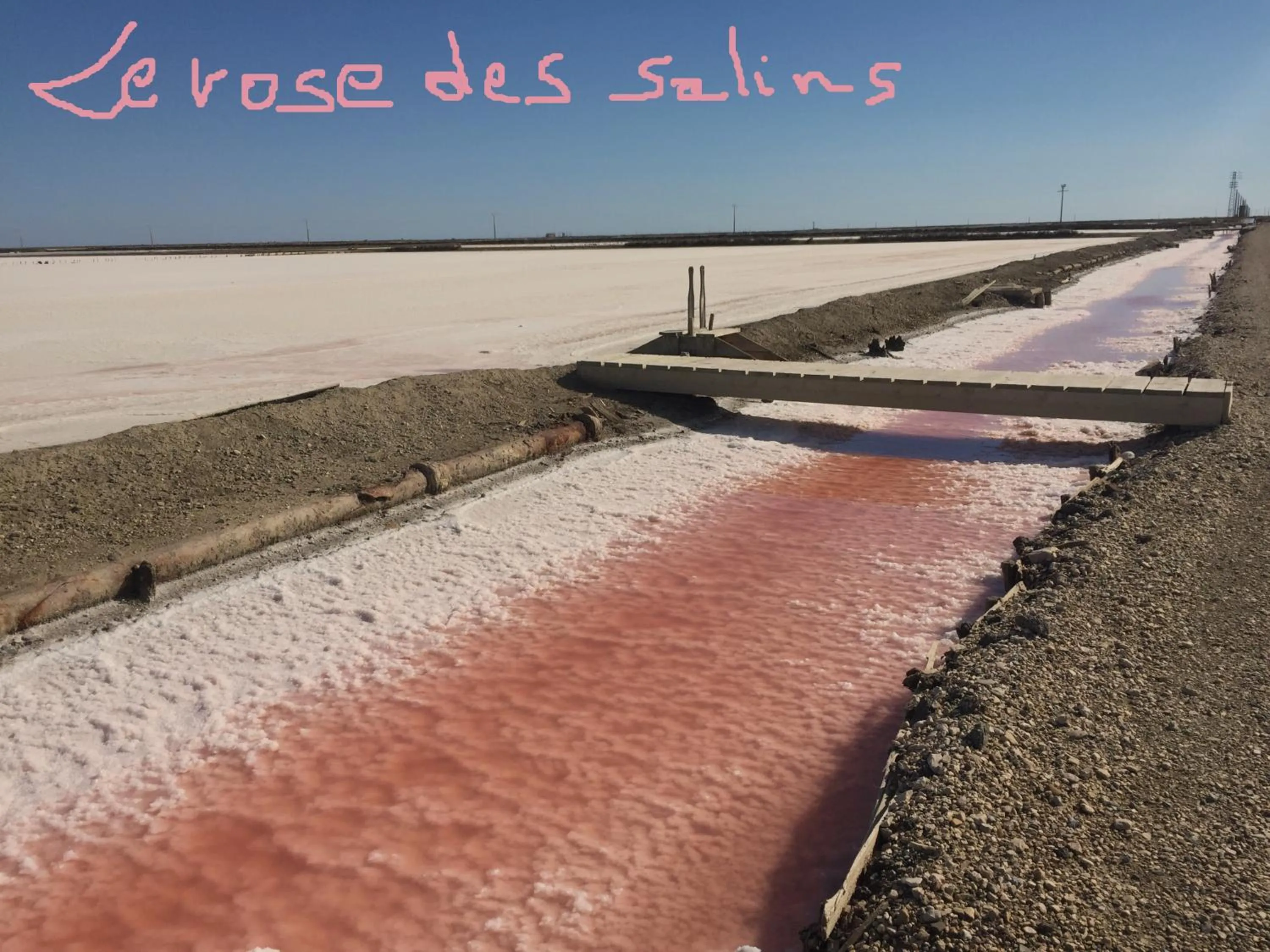 Natural landscape in Maébrilu Camargue Provence