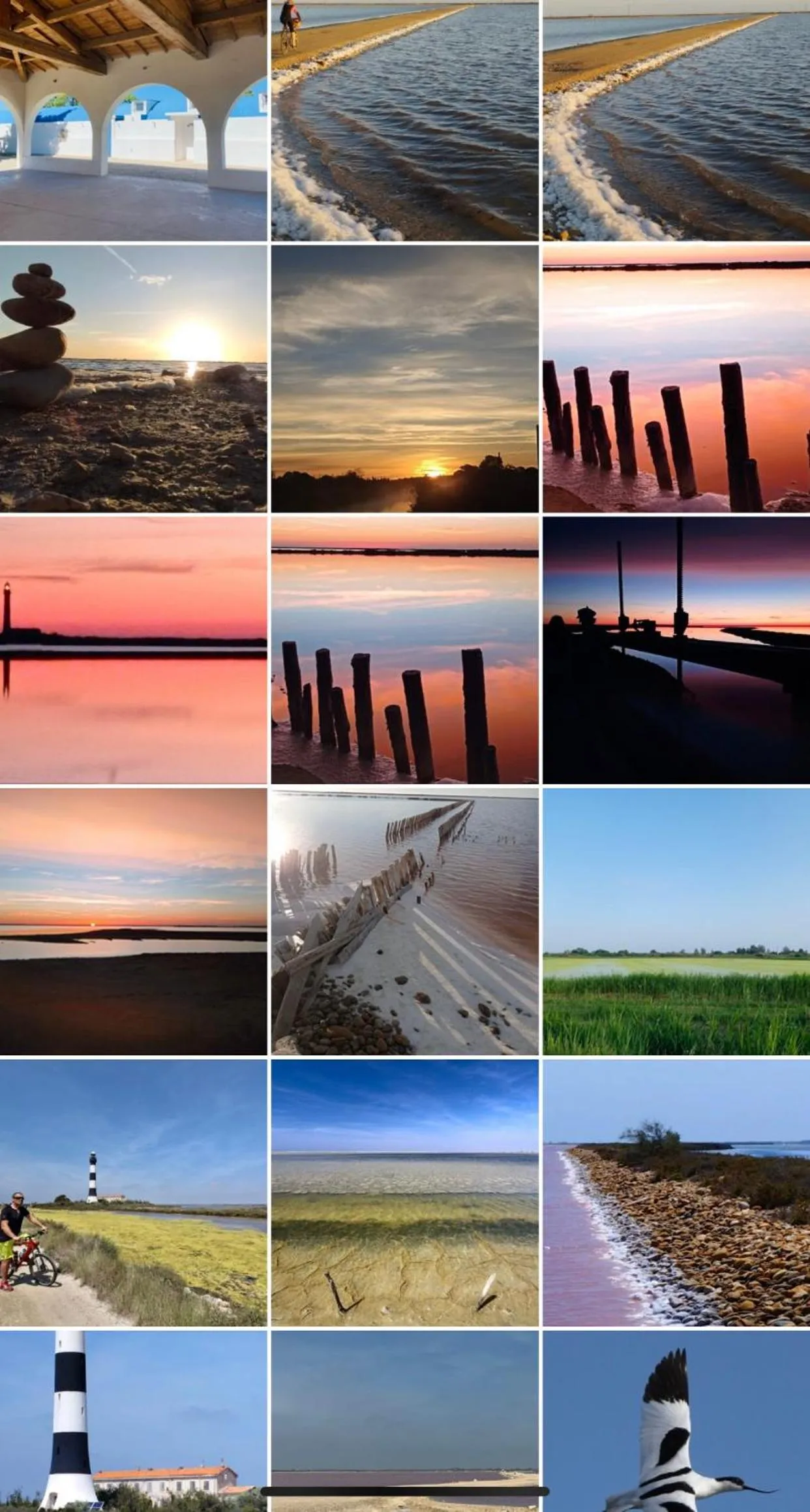 Natural landscape in Maébrilu Camargue Provence