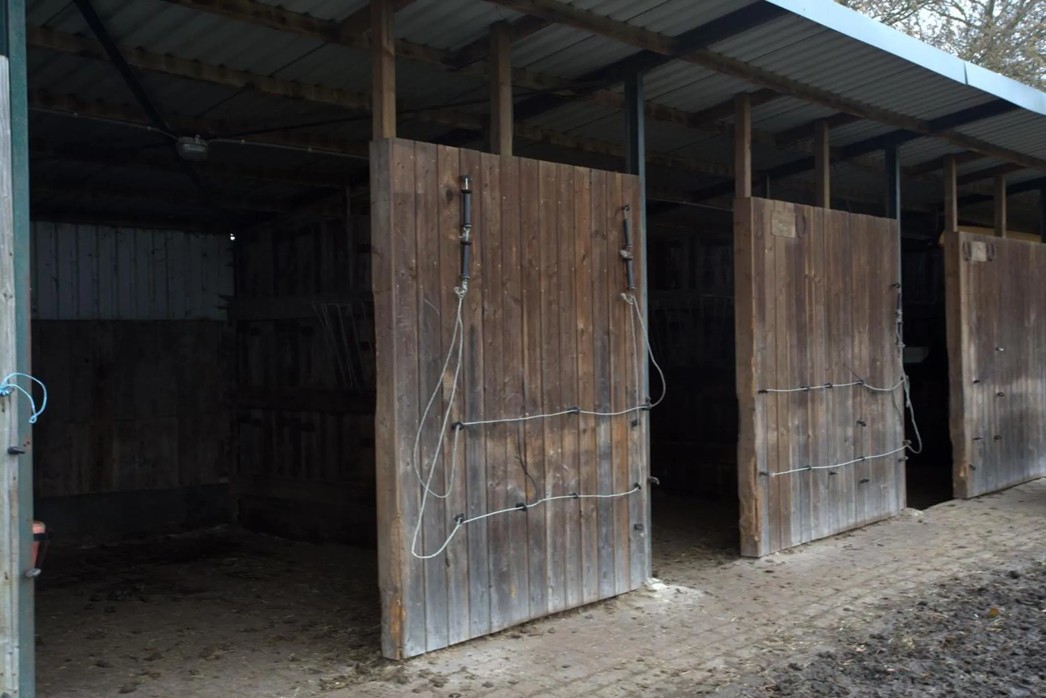 Other in B&B Dream On Wheels