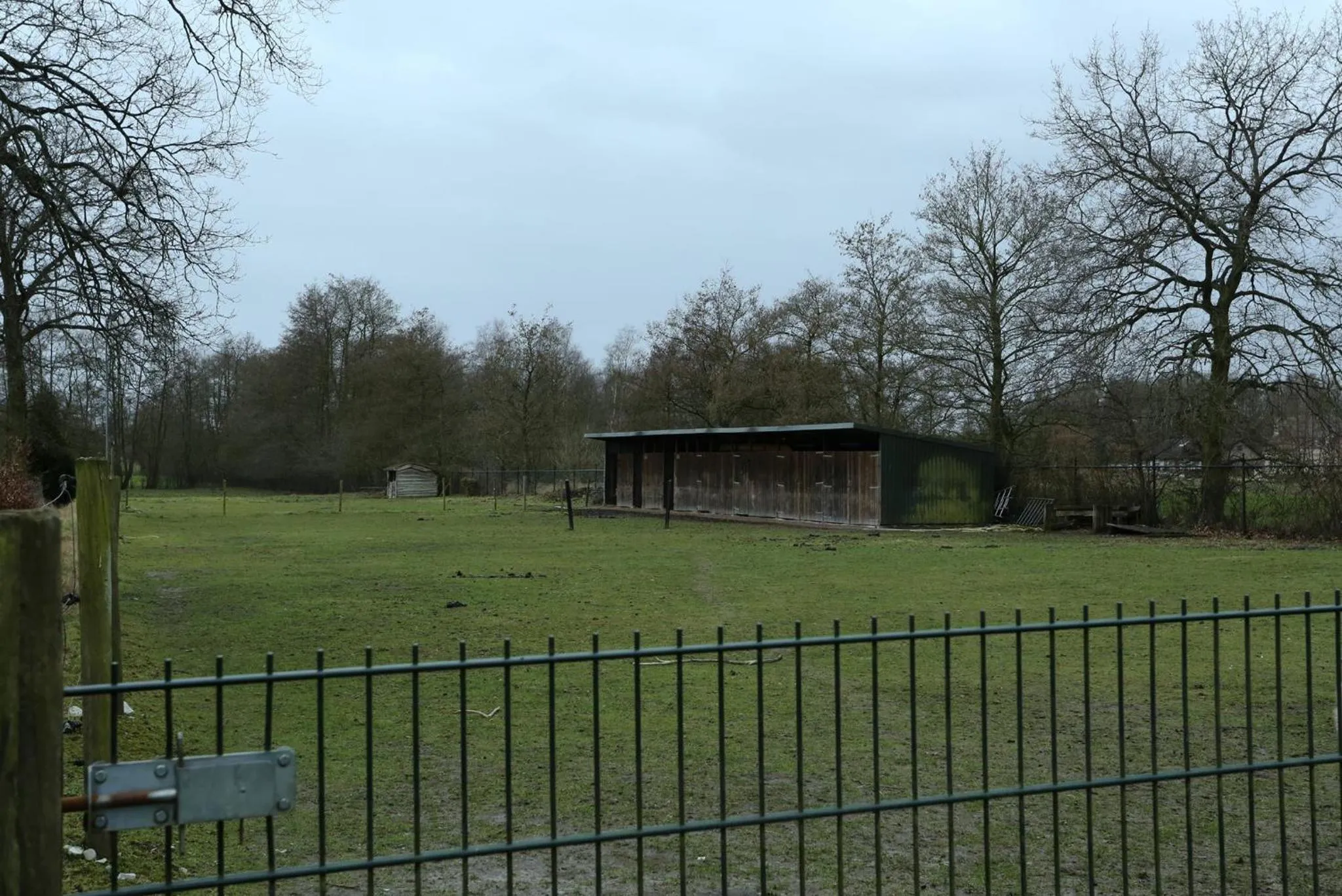 Other in B&B Dream On Wheels