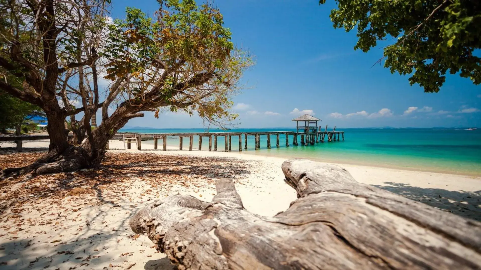 Natural landscape, Beach in SCN City Hotel Banchang