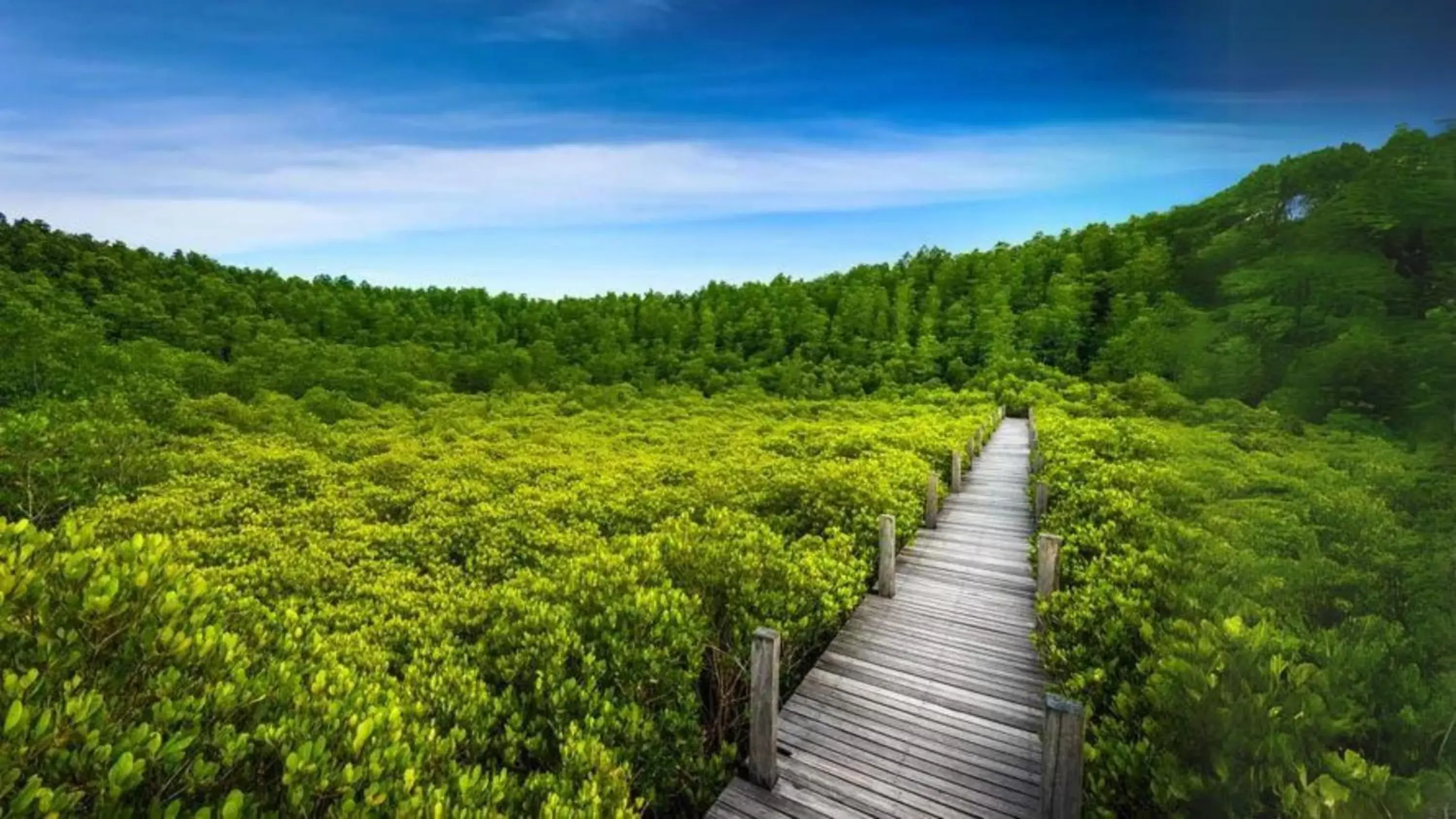 Natural landscape in SCN City Hotel Banchang