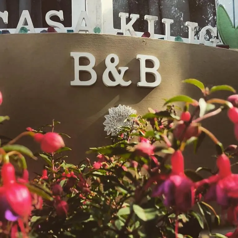 Decorative detail in Casa Kilig