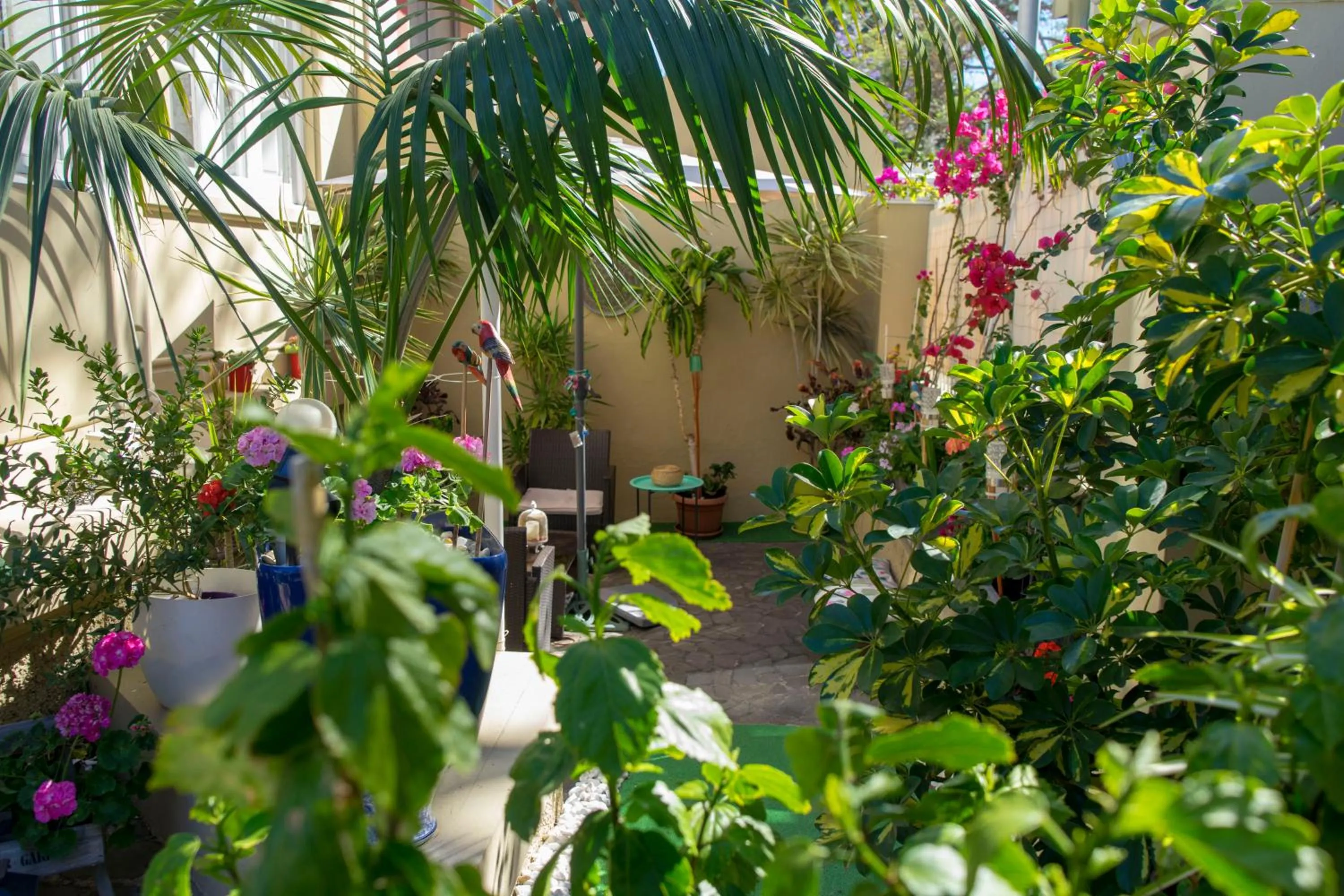 Garden in Casa Kilig