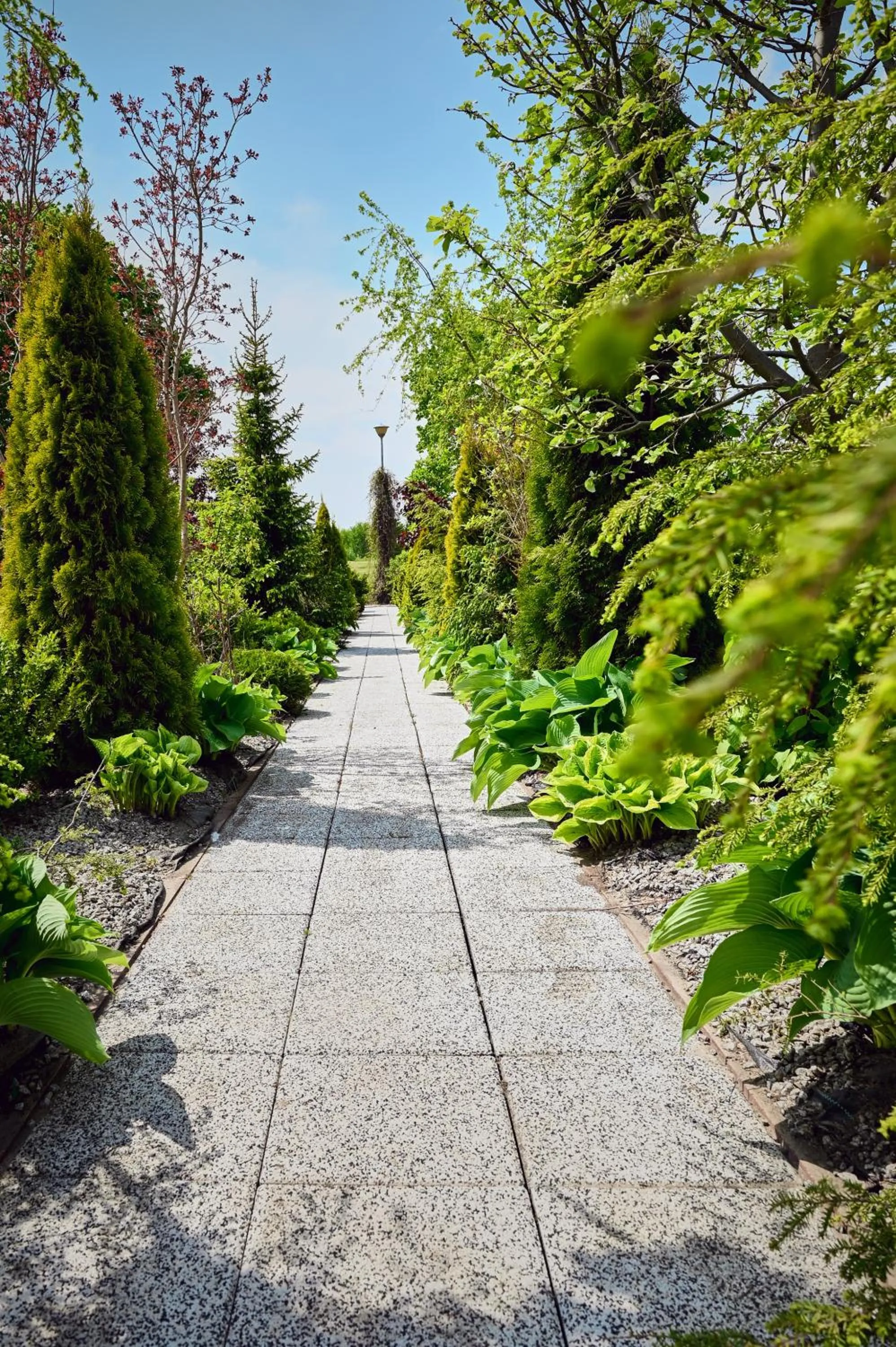 Willa Mycyny oraz domki