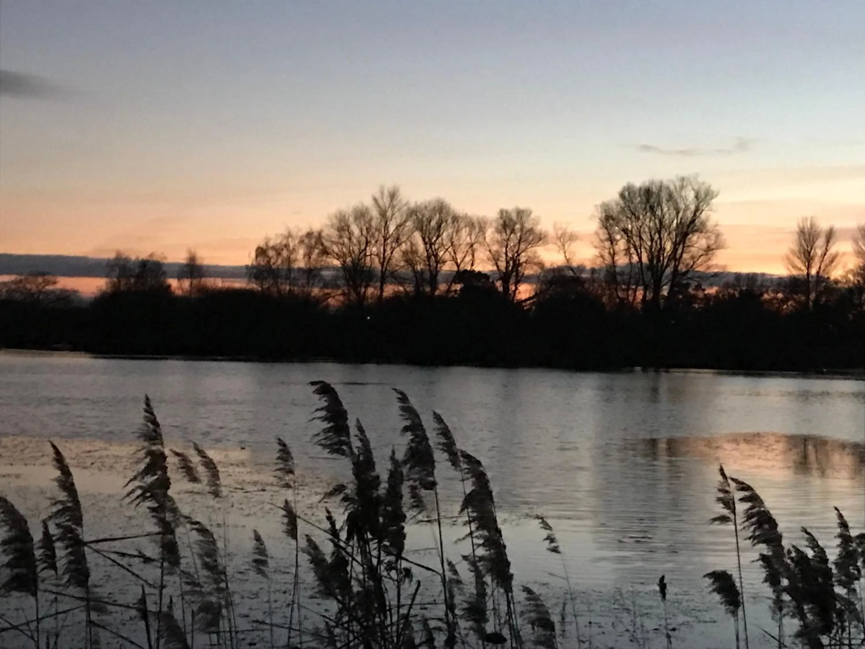 Natural landscape in Woodlakes Park By Liv Retreats