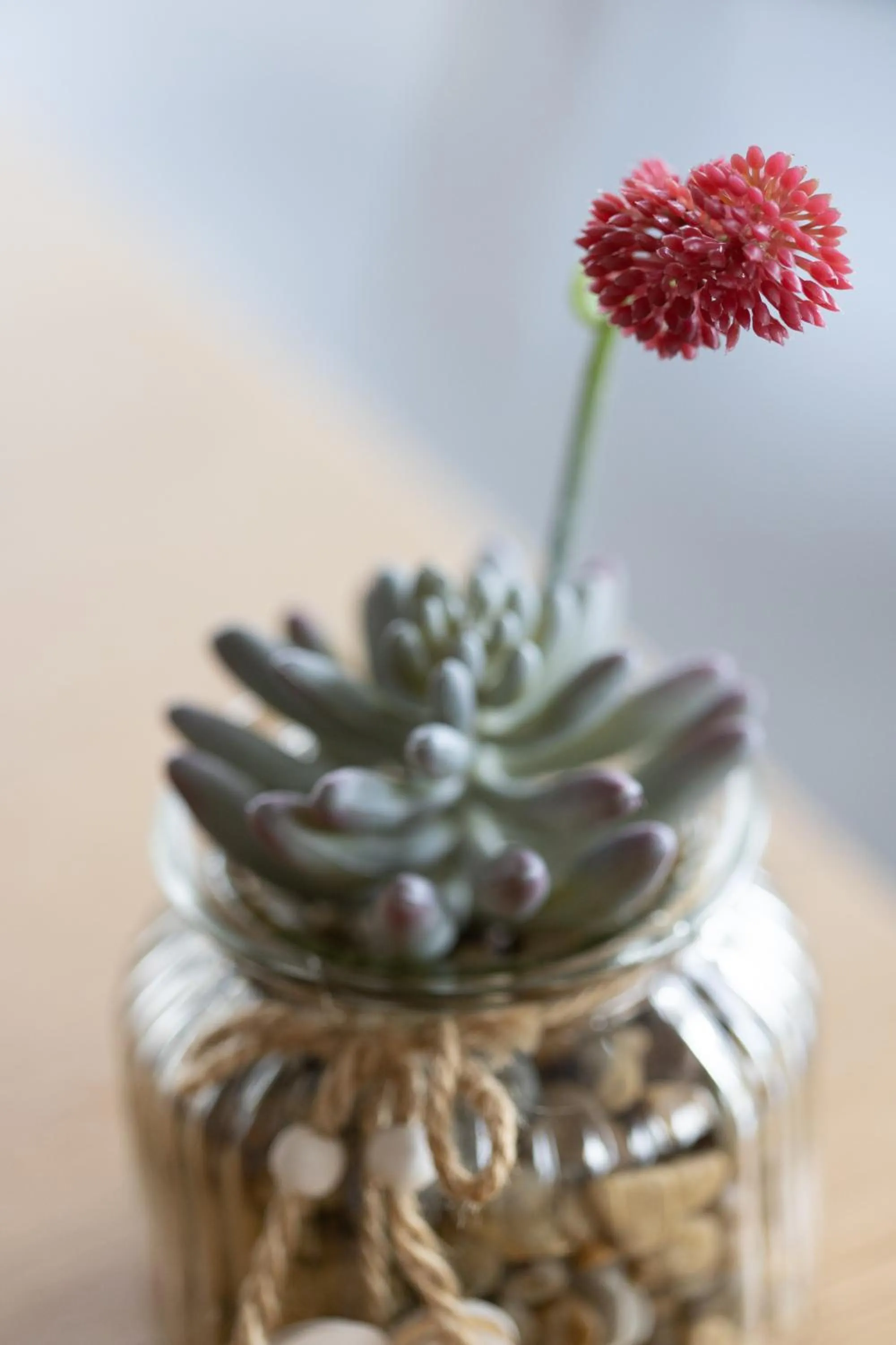 Decorative detail in Residence Margreth