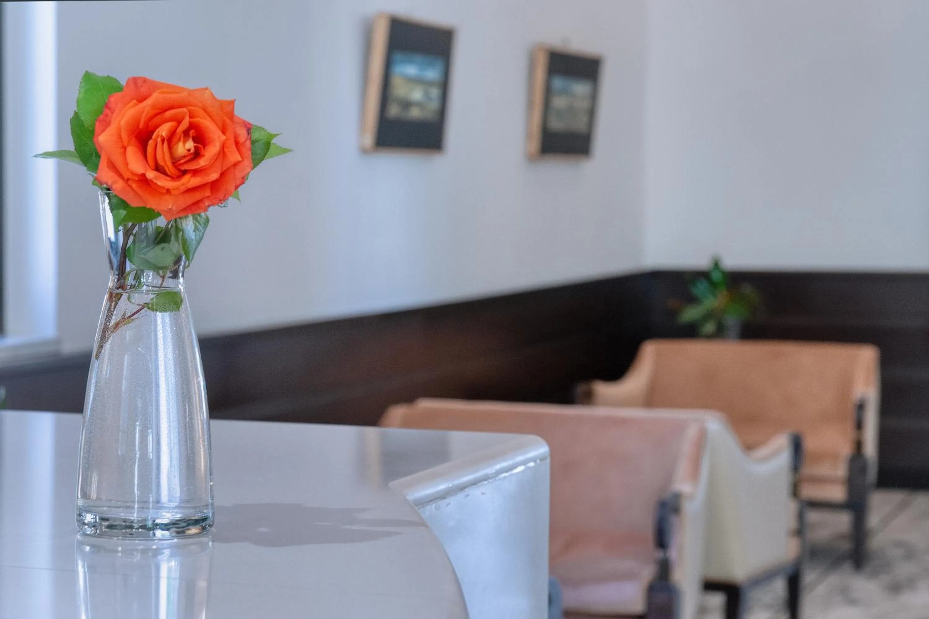 Lounge or bar in Park Hotel