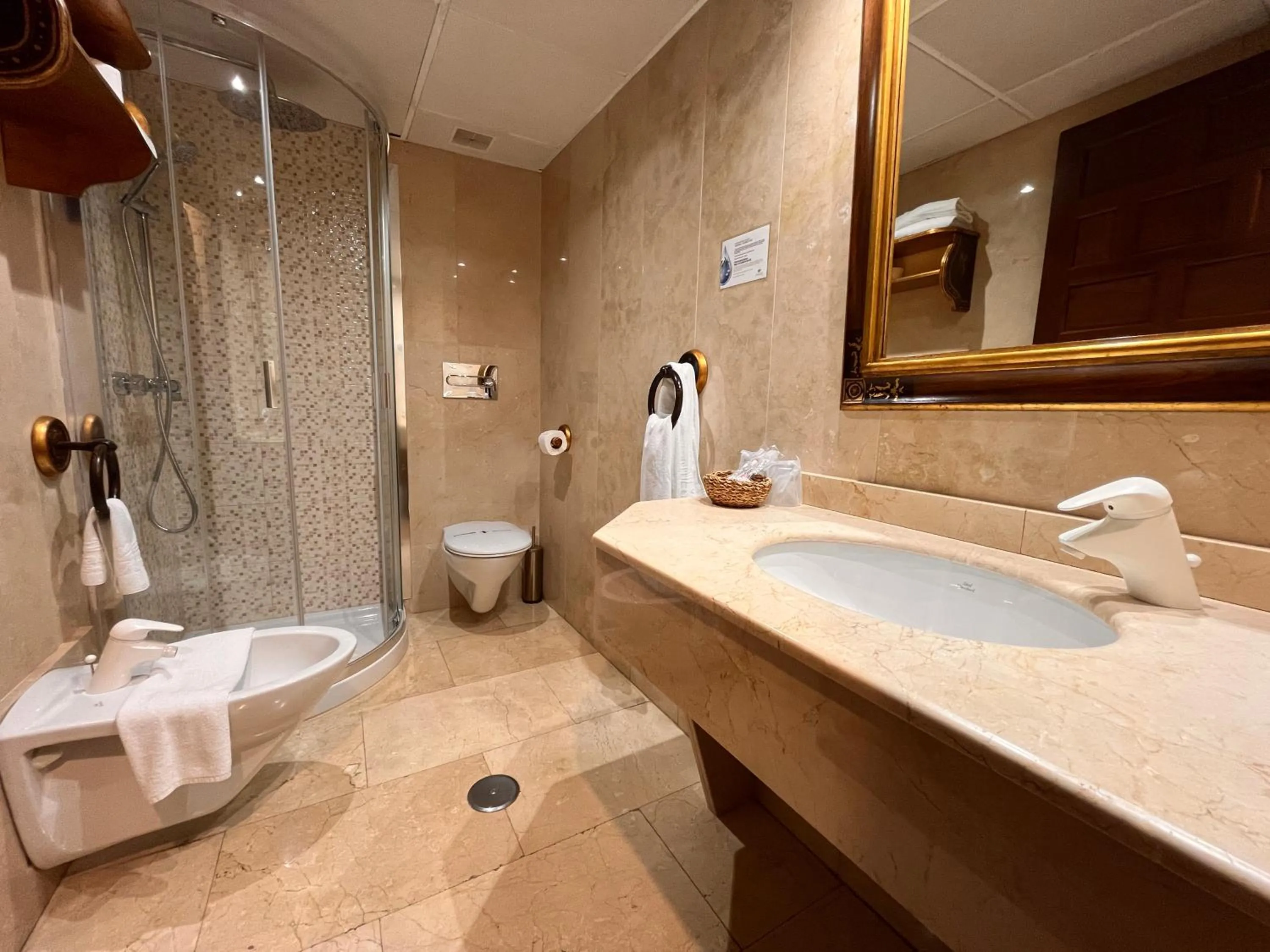 Shower in Hotel Microtel Placentinos