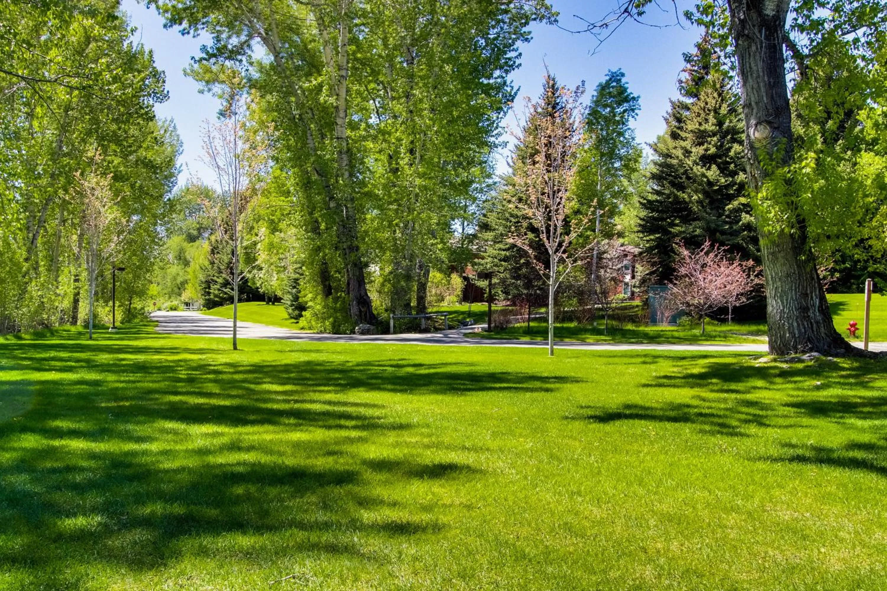 Sun Valley Atelier Studio - Serenade