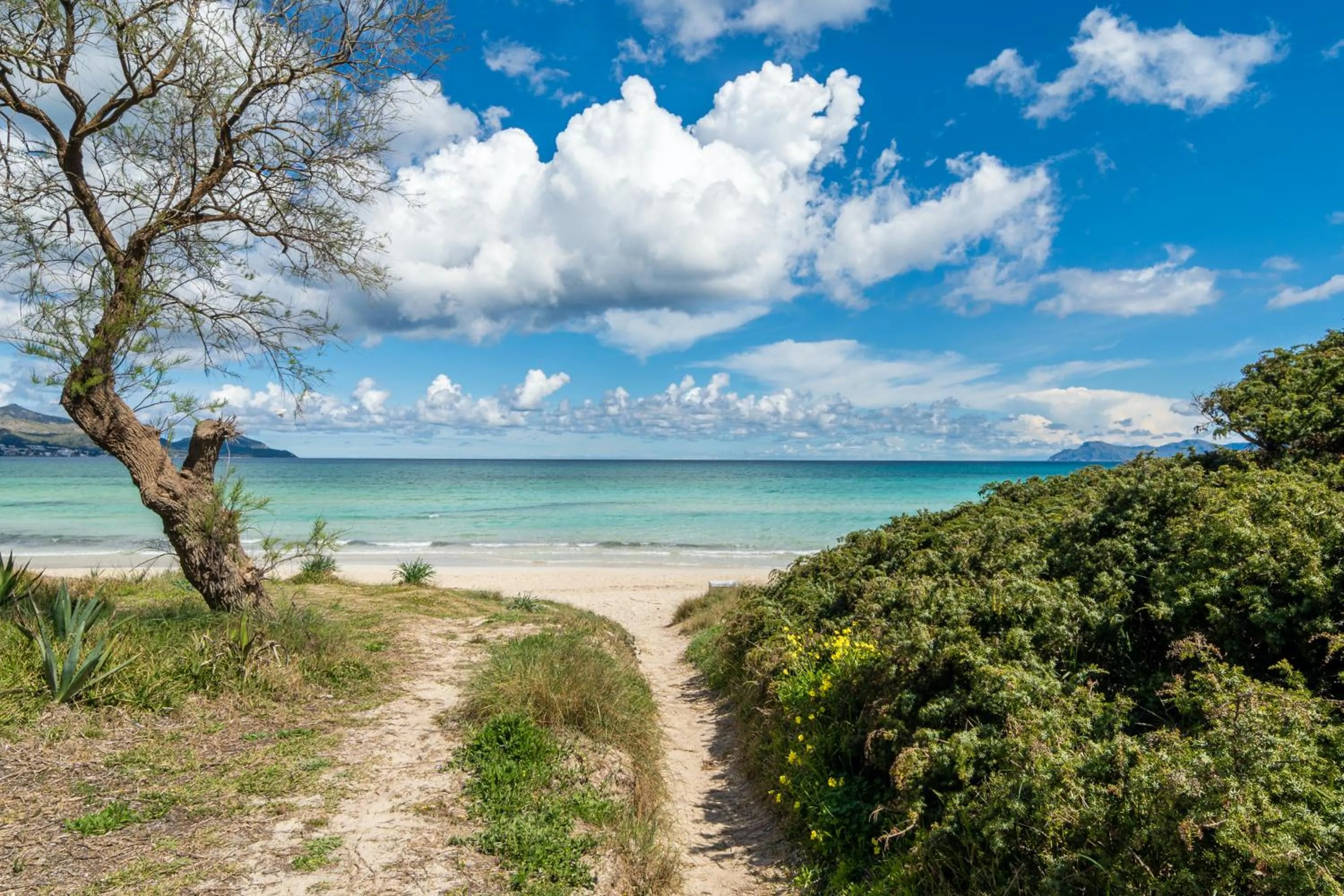 Beach in Villa Can Canta Natura Park House at Platja de Muro Beach