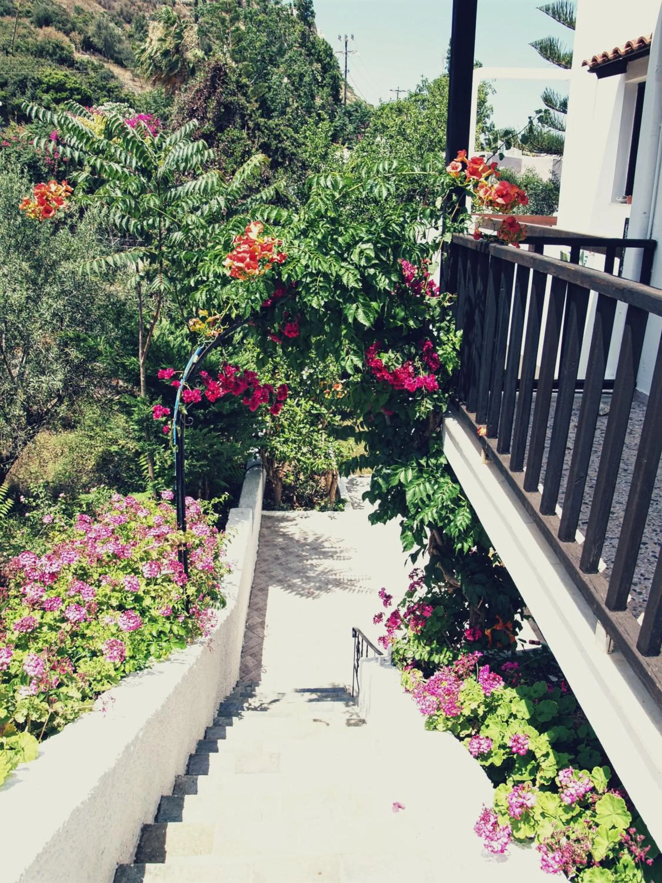 Property building in Oliaria Apartments