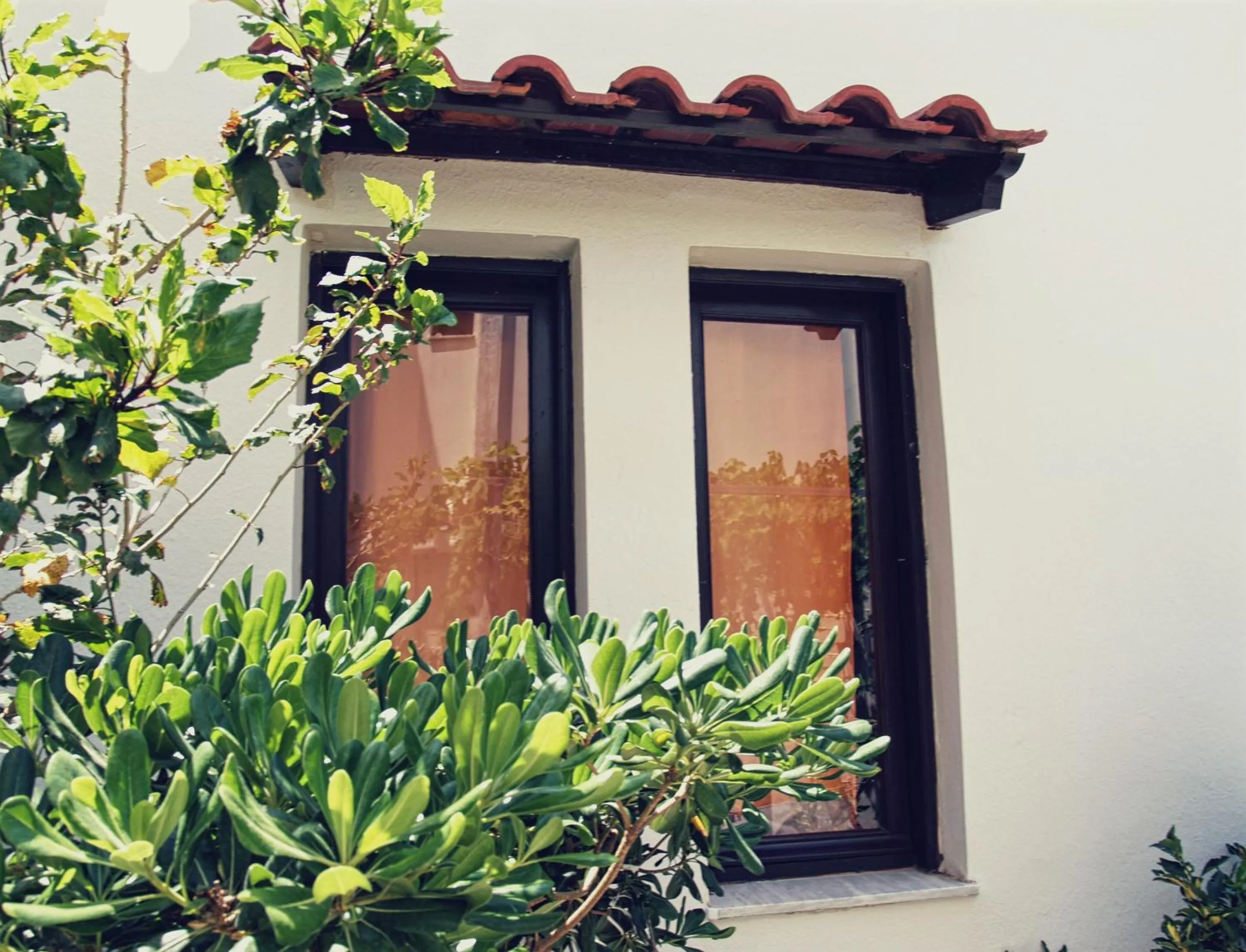 Property building in Oliaria Apartments