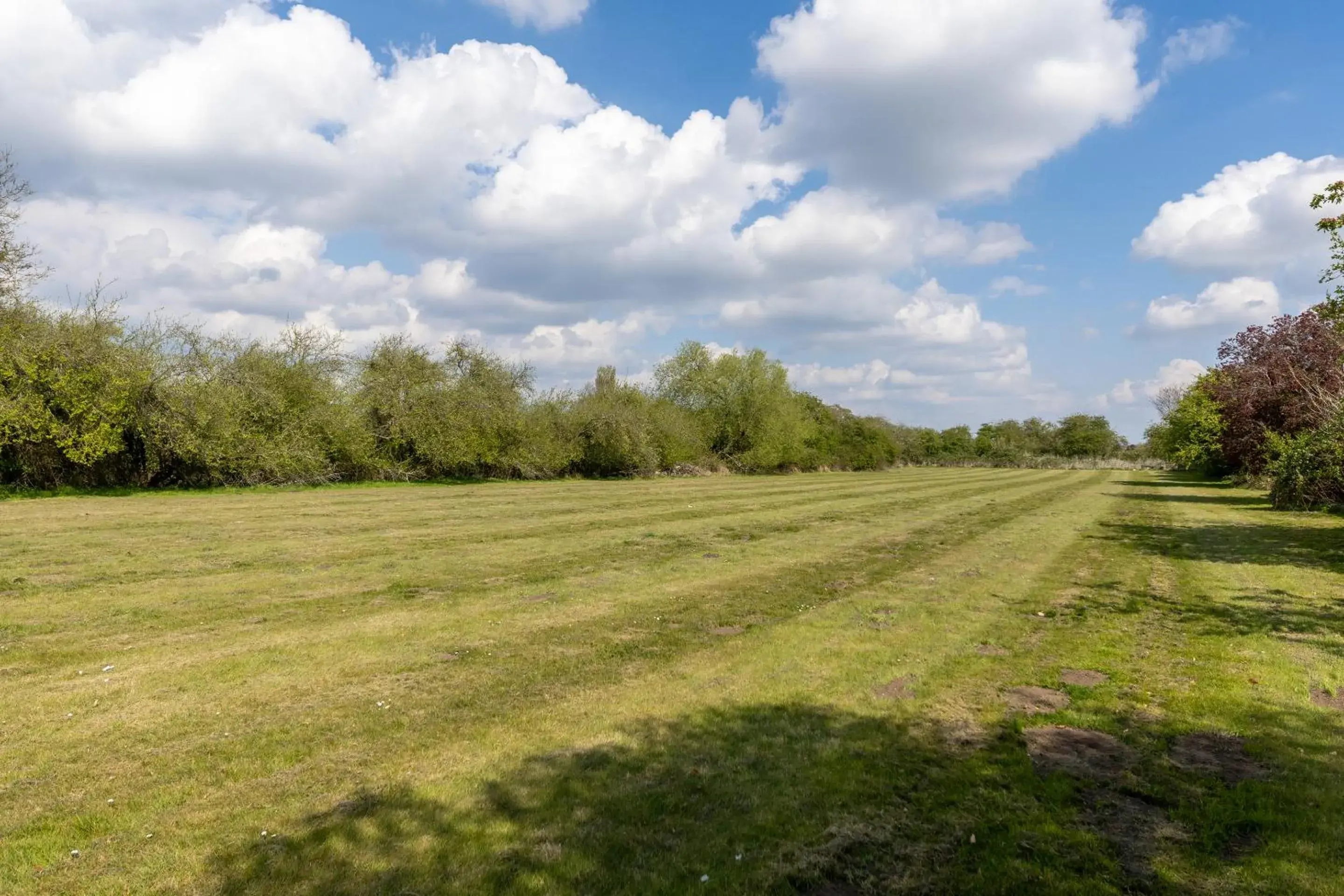 Garden in Shelford Lodge Garden in Shelford Lodge