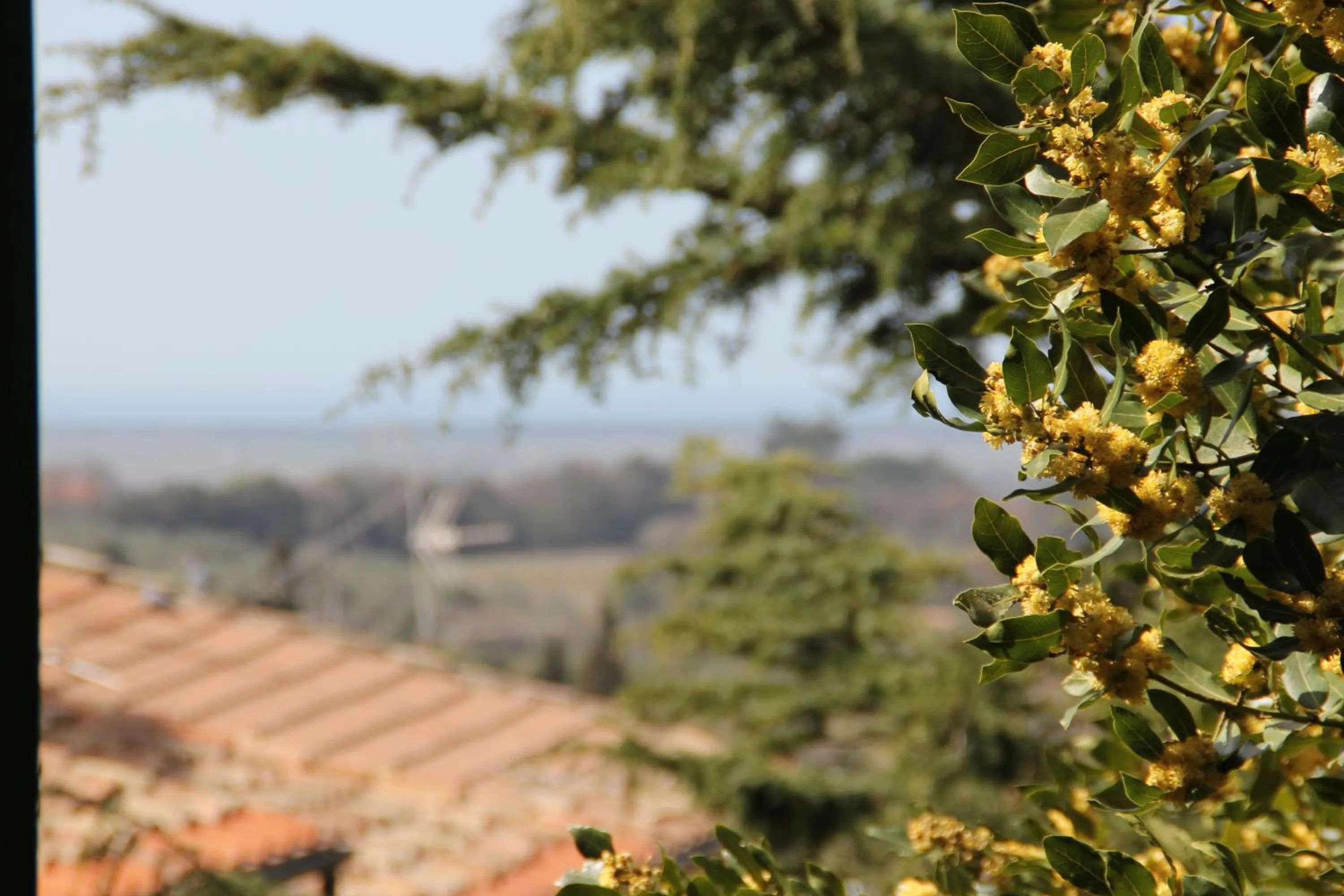Garden view in Locanda Etrusca