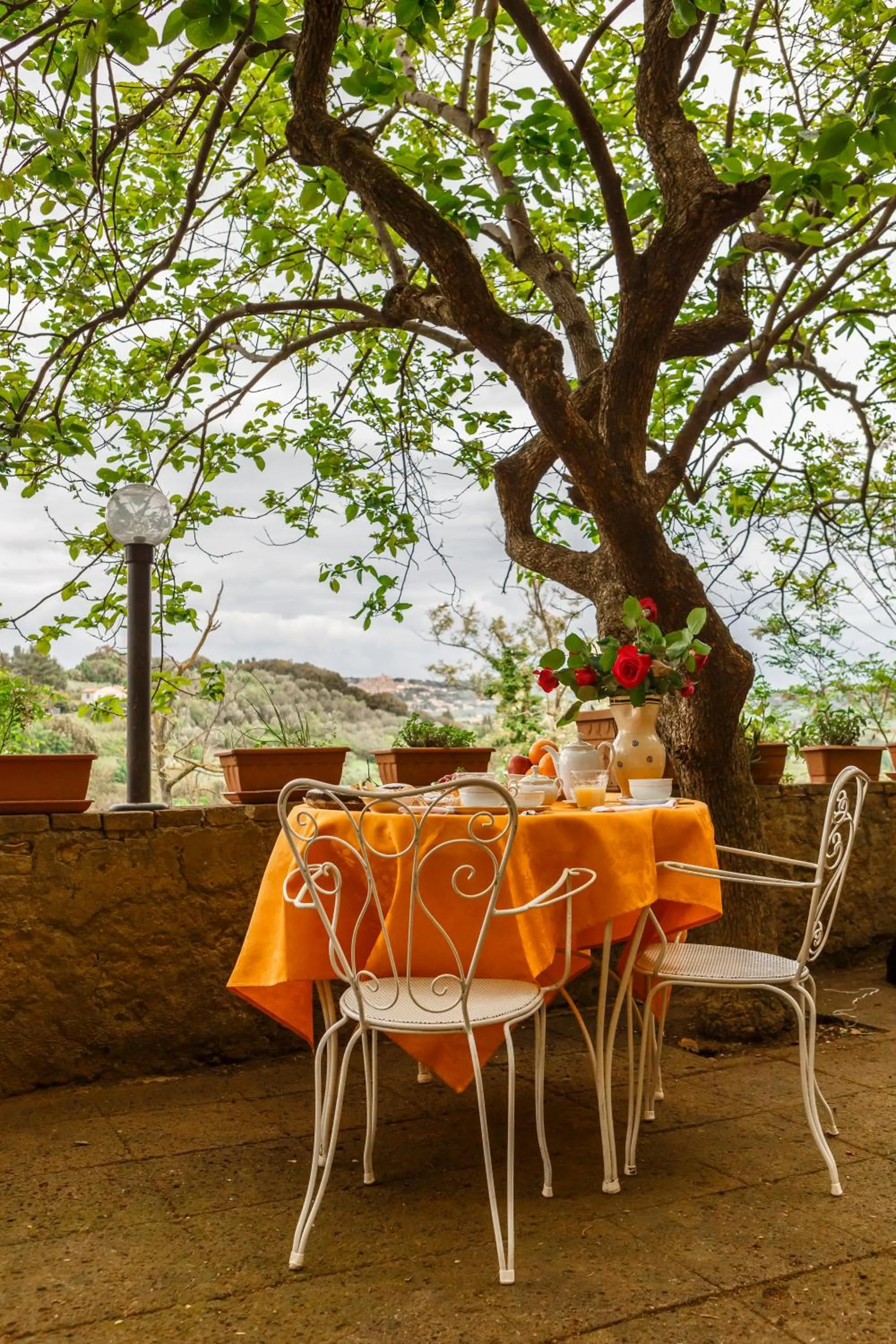 Garden in Locanda Etrusca