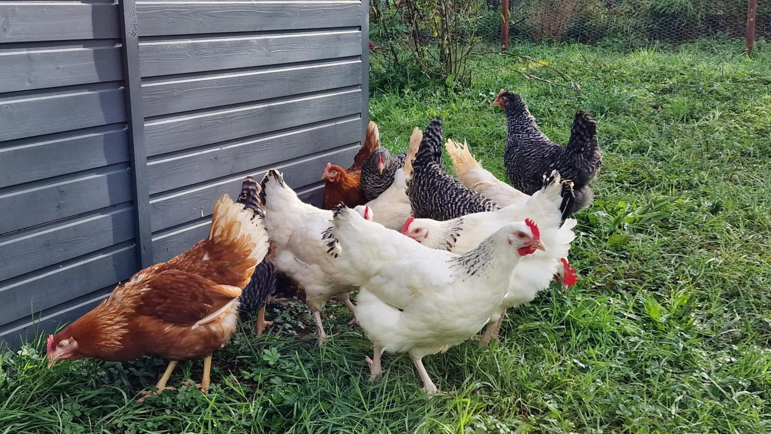 Domaine Le Puits du Moulin