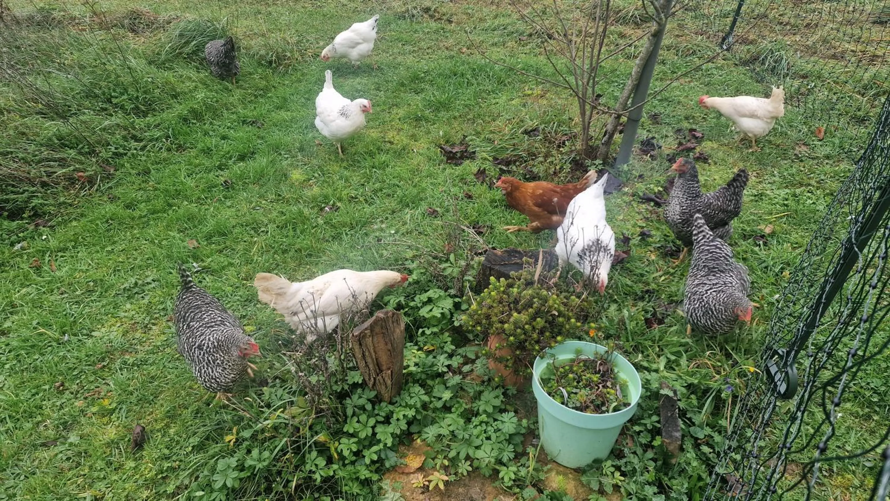 Domaine Le Puits du Moulin