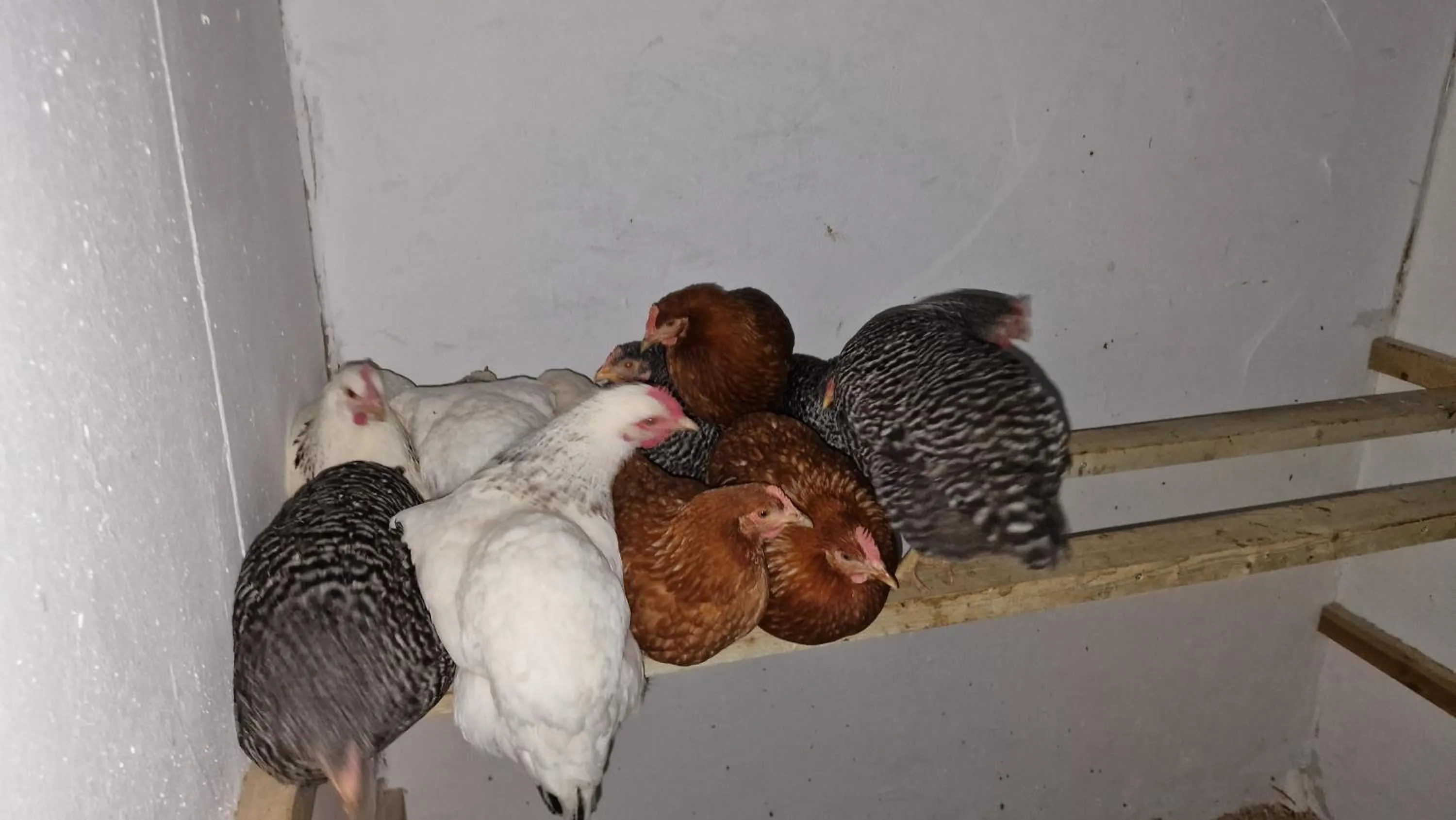 Domaine Le Puits du Moulin