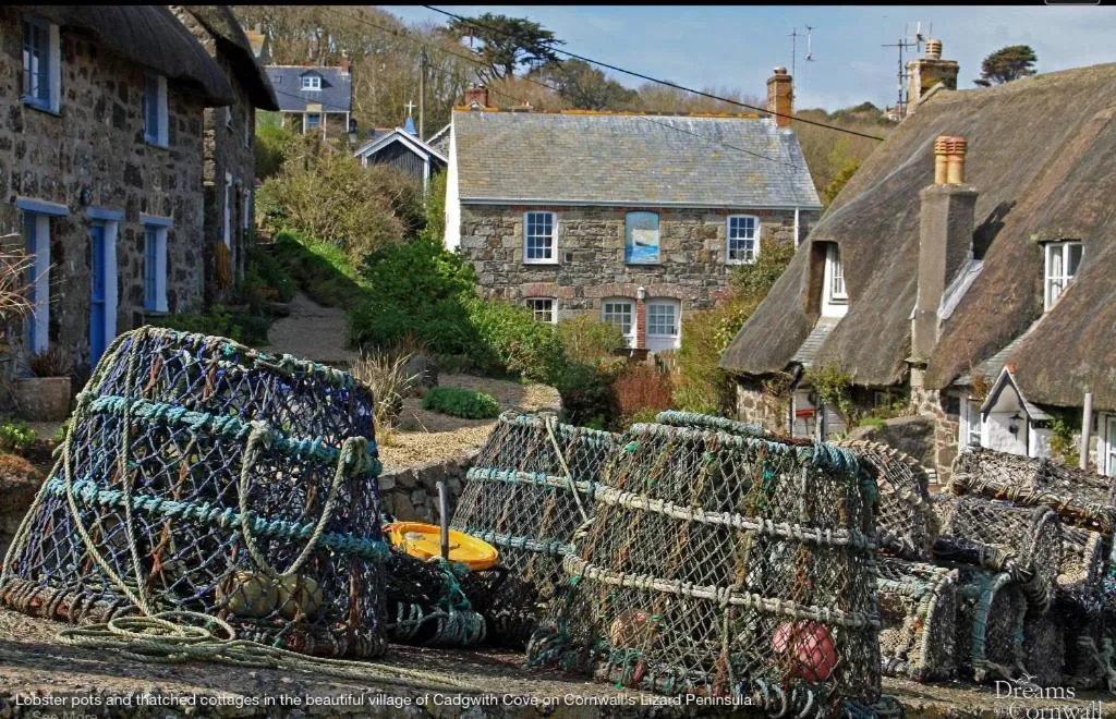 Neighbourhood in Cadgwith Cove Inn
