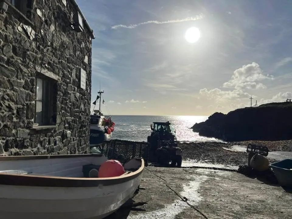 Natural landscape in Cadgwith Cove Inn