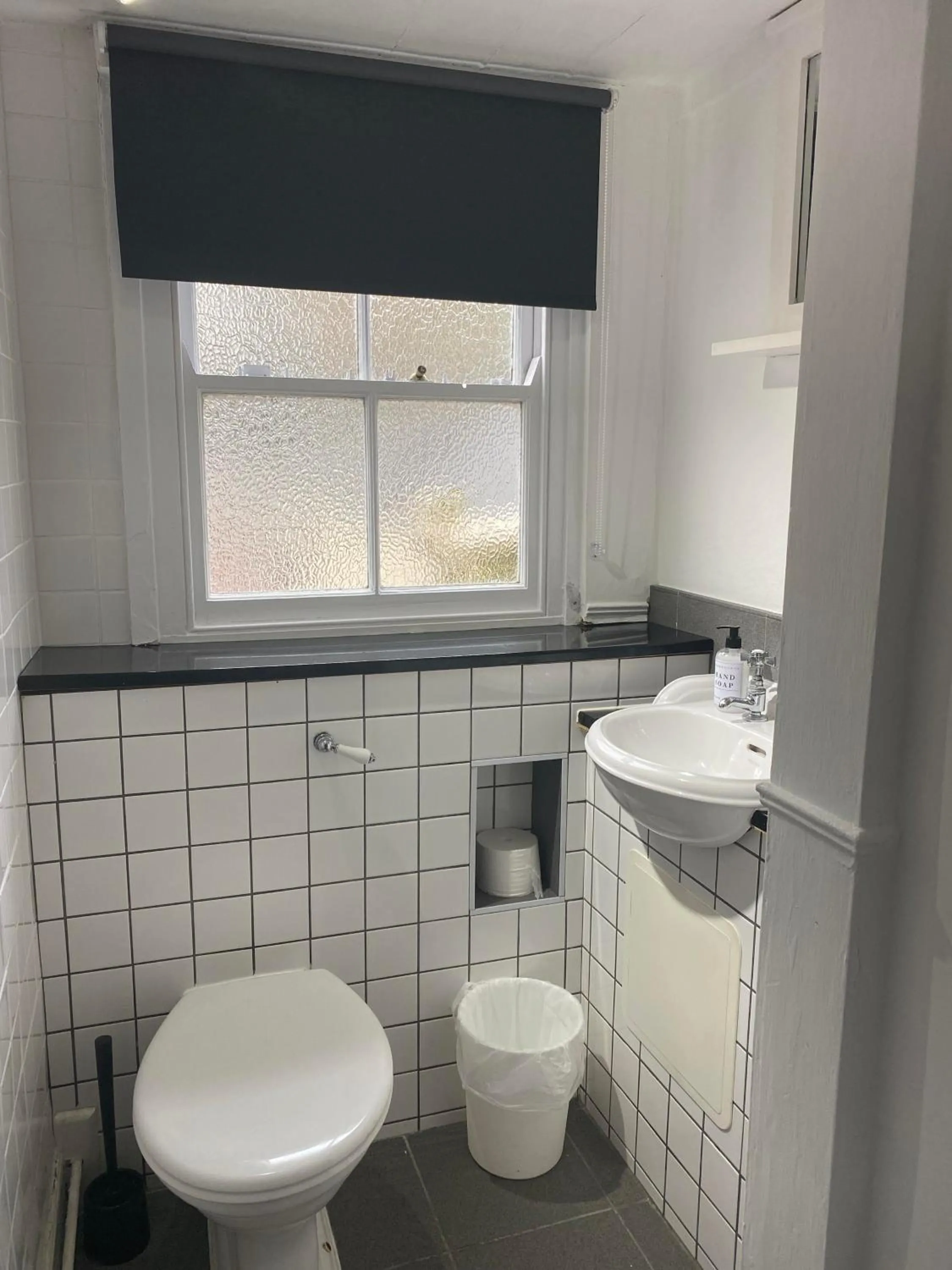 Toilet in Cadgwith Cove Inn