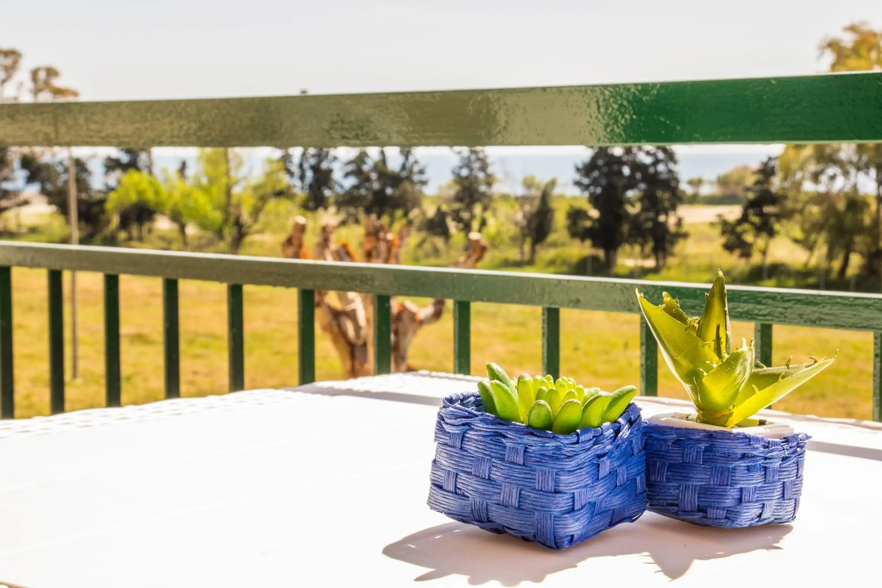 Studio Coral View Studio Coral View