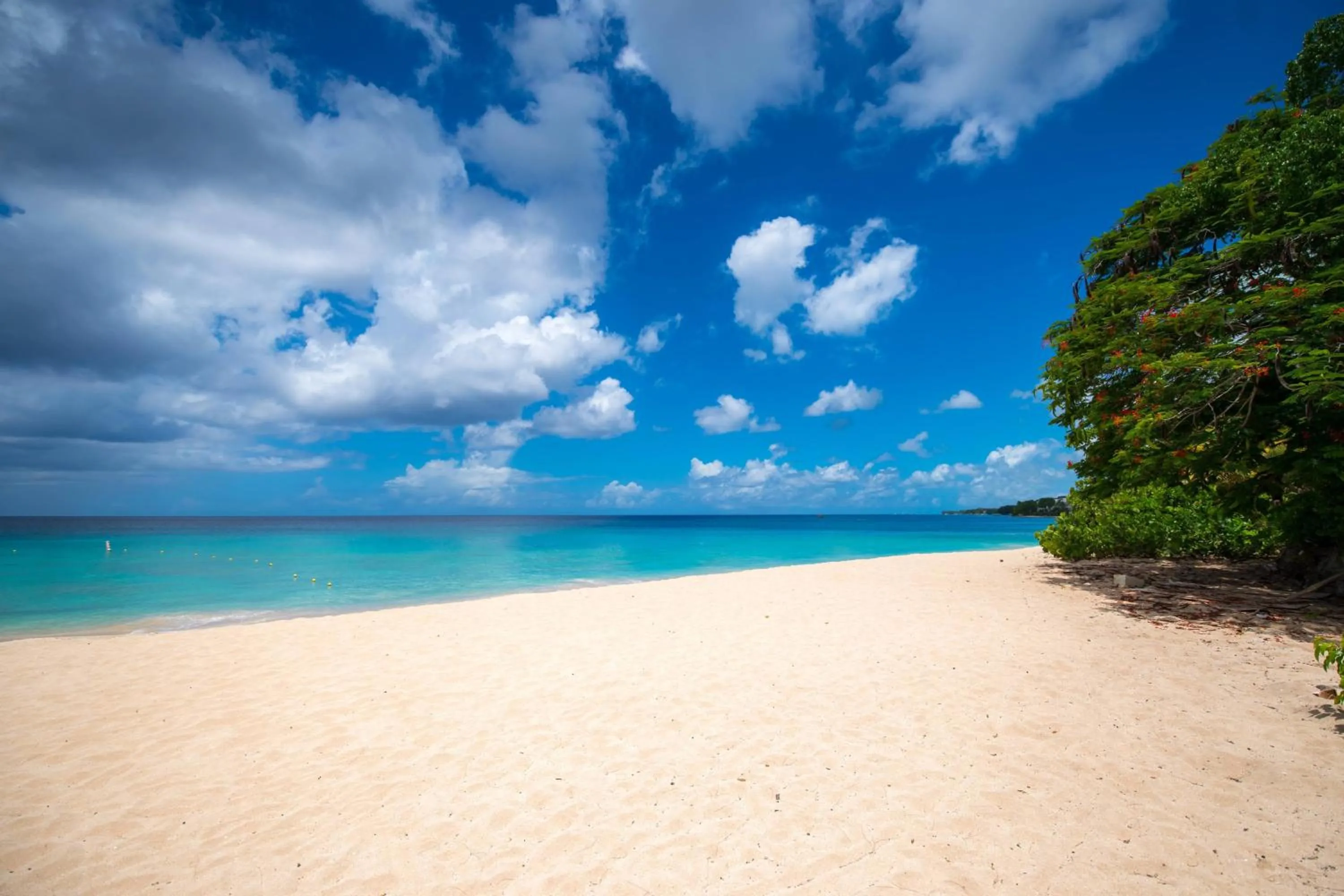 Beach in Crystal Cove, Barbados, A Tribute Portfolio All-Inclusive Resort