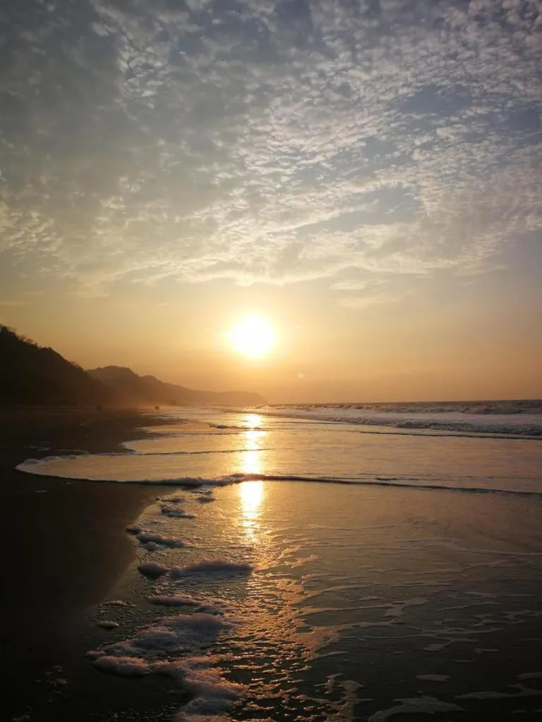 Beach in Hotel Las Palmas